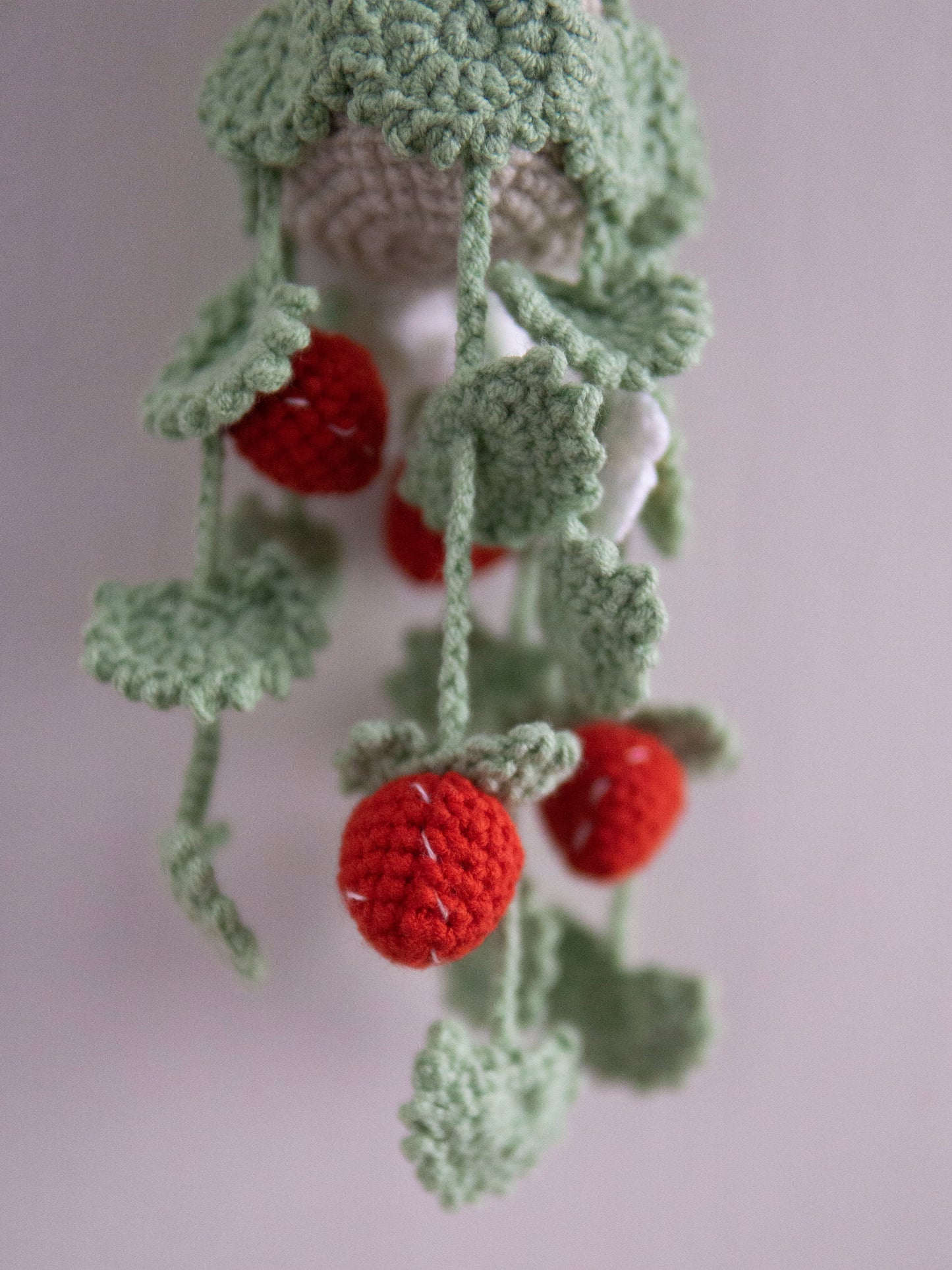 Strawberry Hanging Basket