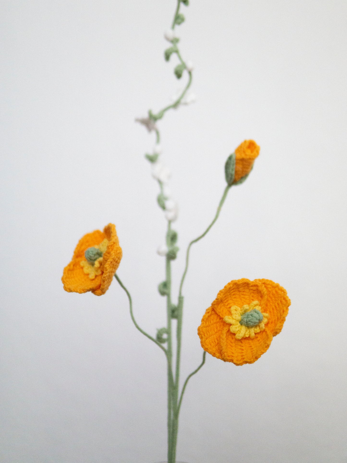 Poppy & Thunberg Spirea Set Apricot