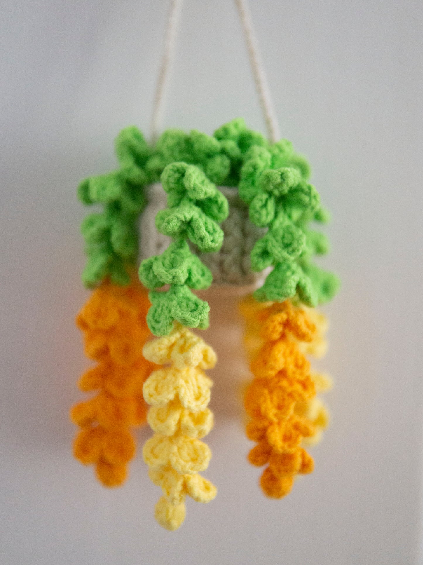 Yellow Lavender Hanging Basket