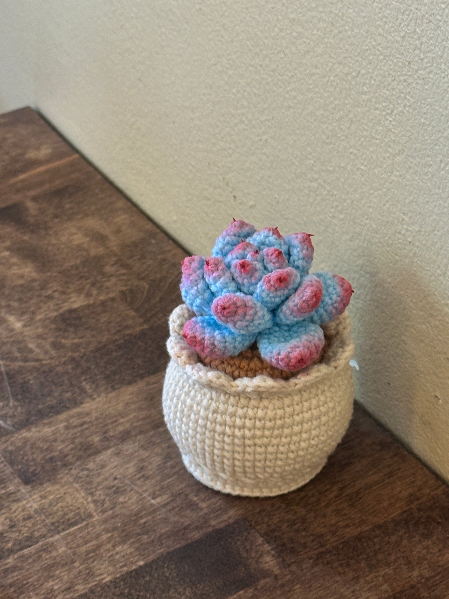 Cactus Blue