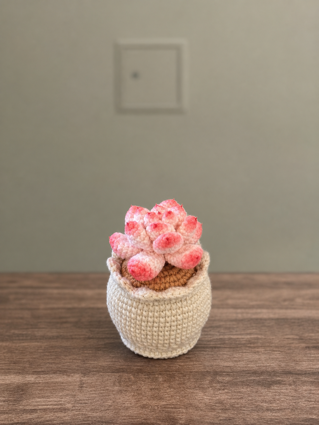 Cactus Peach Egg