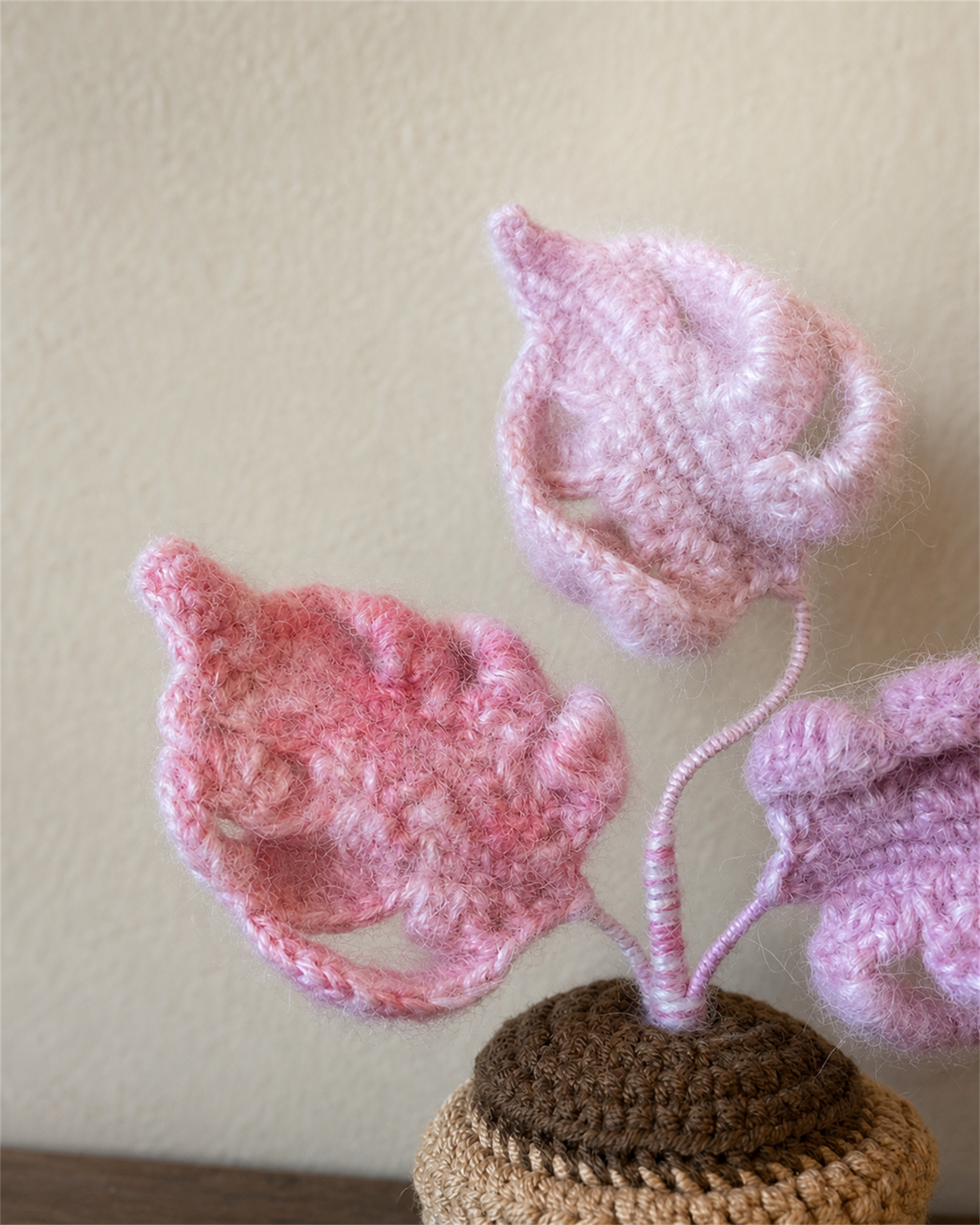 Fuzzy Pink Anthurium Pot