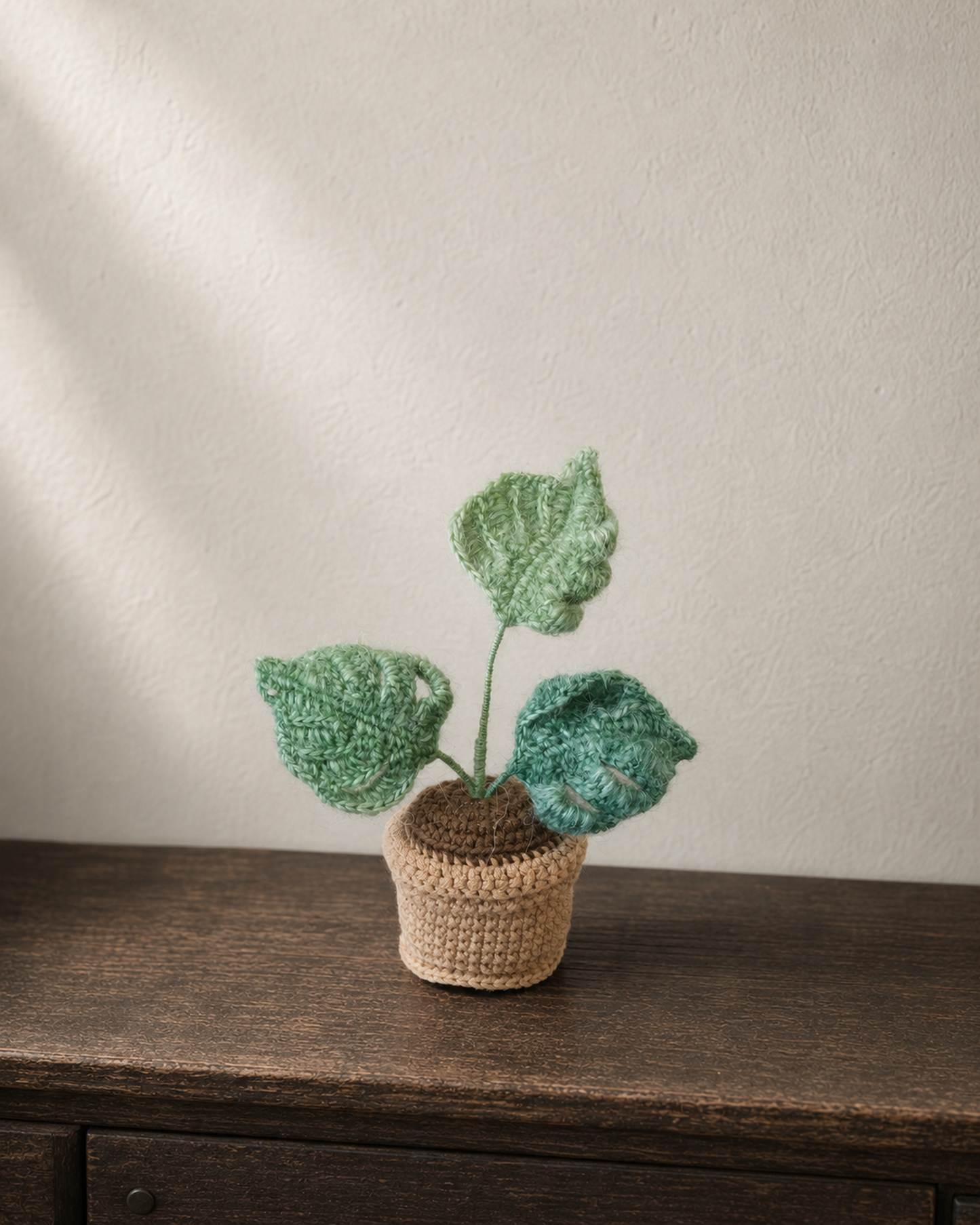 Monstera Pot