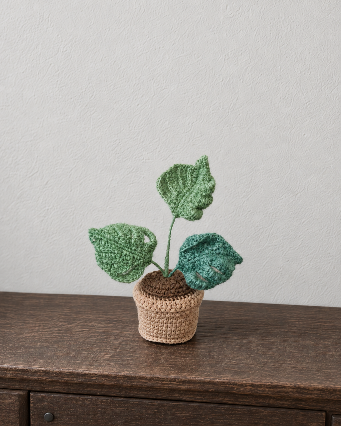 Monstera Pot