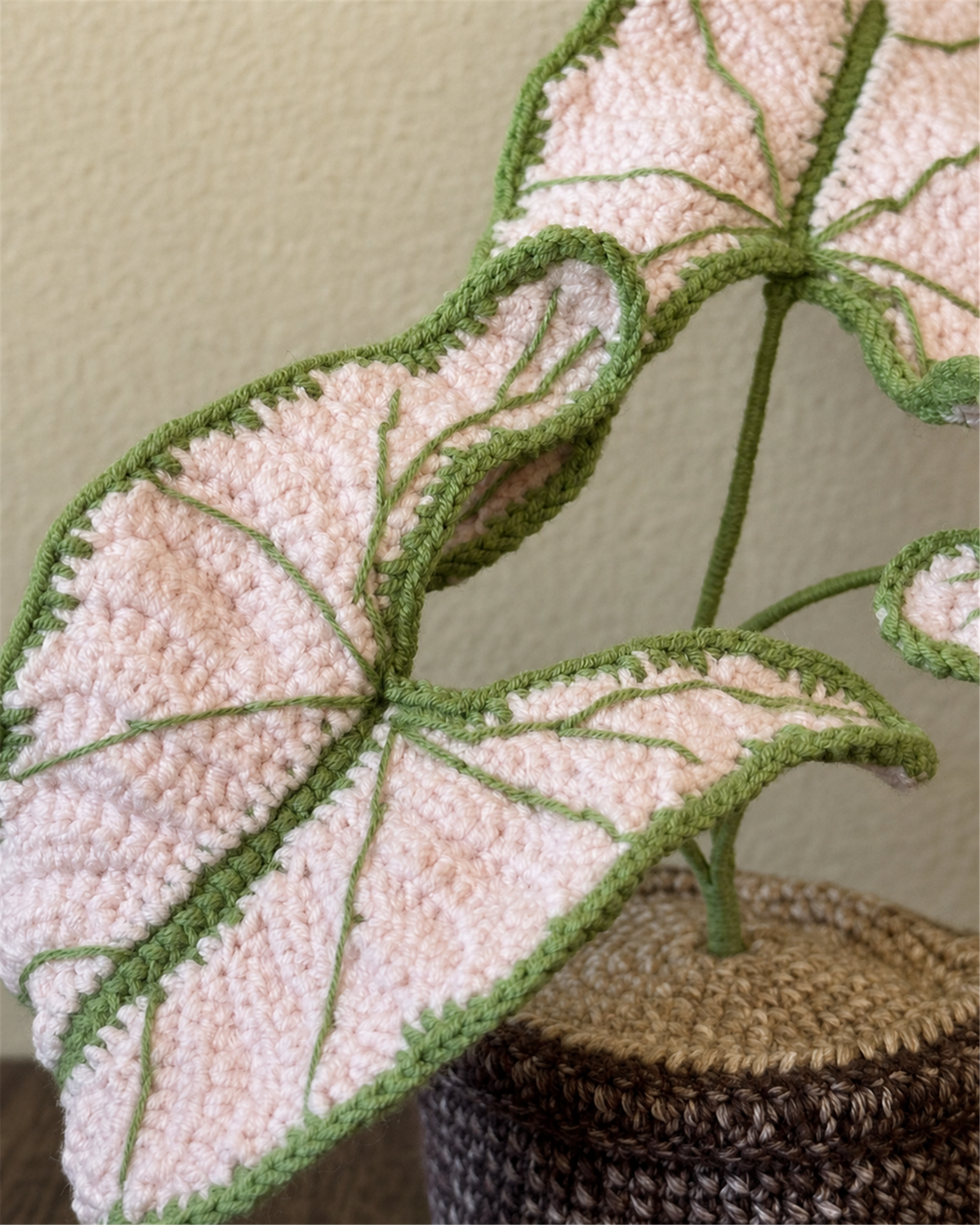 Caladium bicolor ‘Pink Symphony’ Crochet Pot