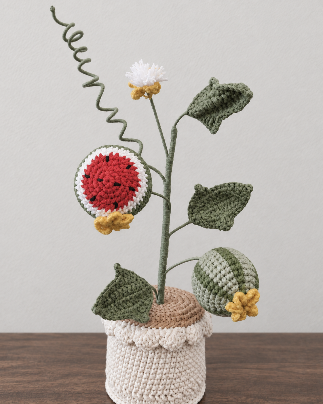 Watermelon Crochet Plant