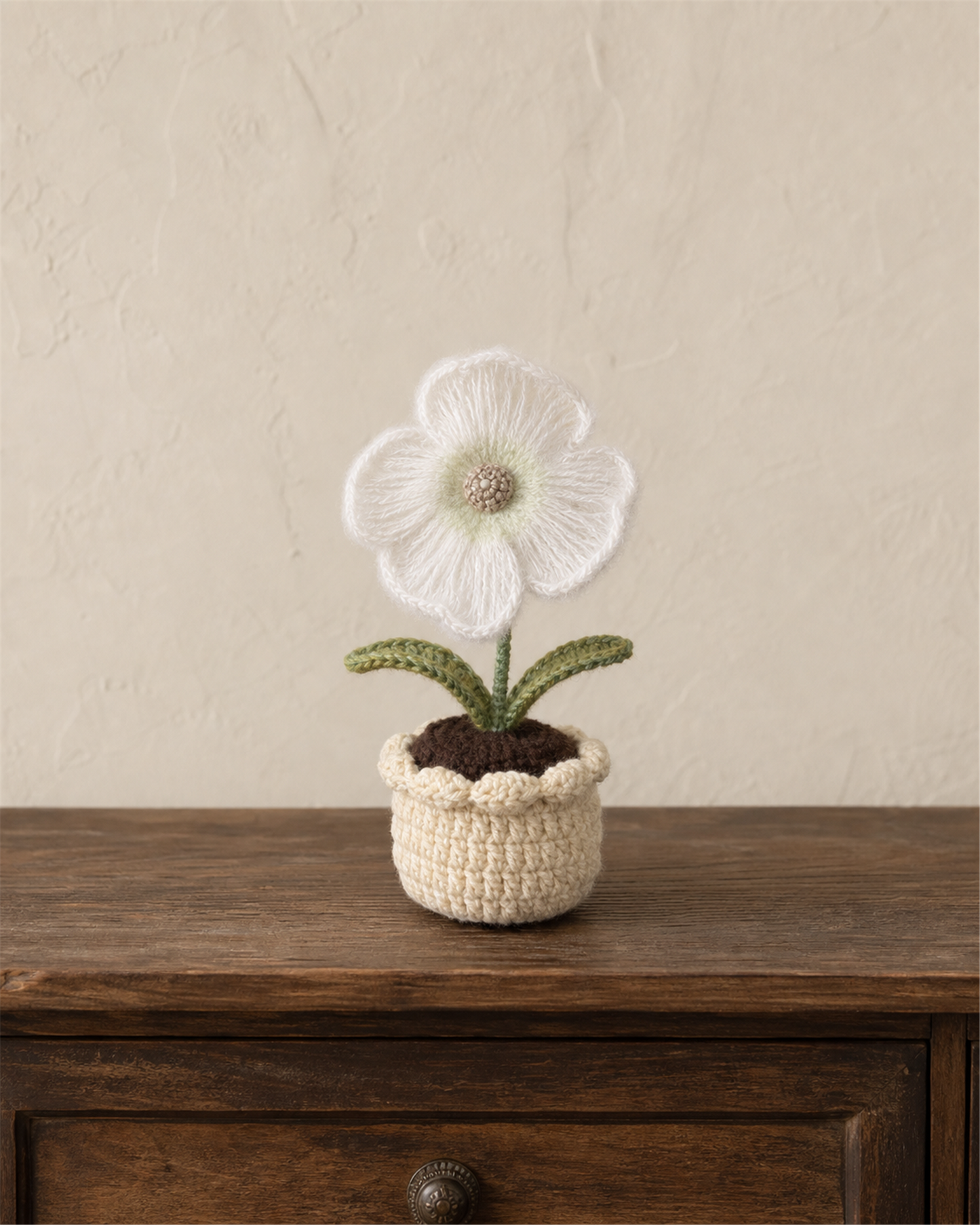 White Five-Petal Flower Mini Crochet Pot