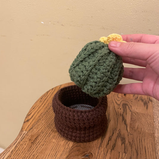 Cactus pot organiser