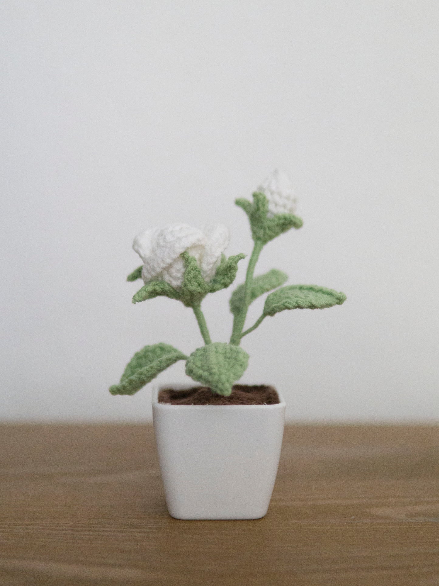 Little White Rose Bonsai
