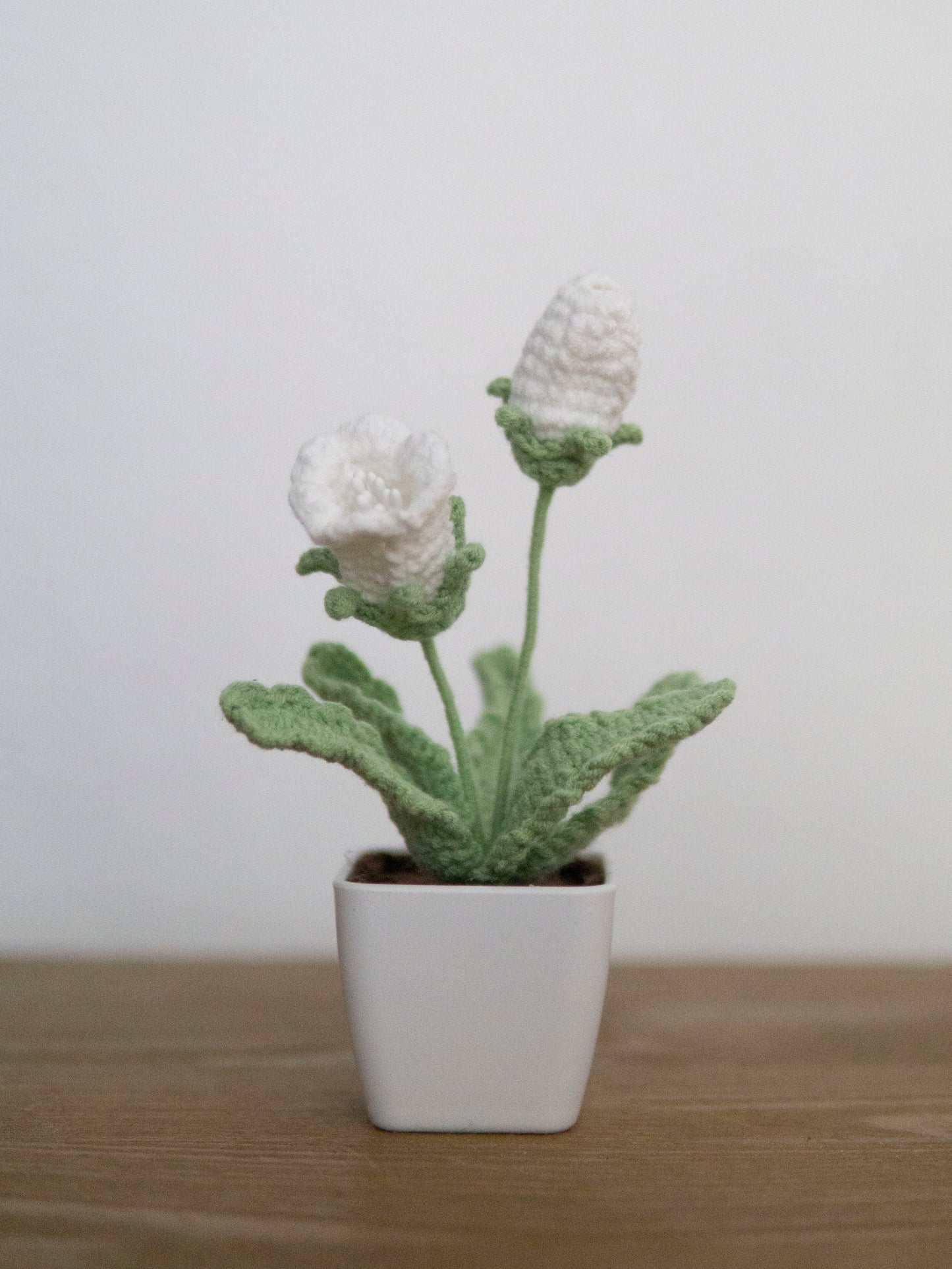 Little Trumpet Flower Bonsai