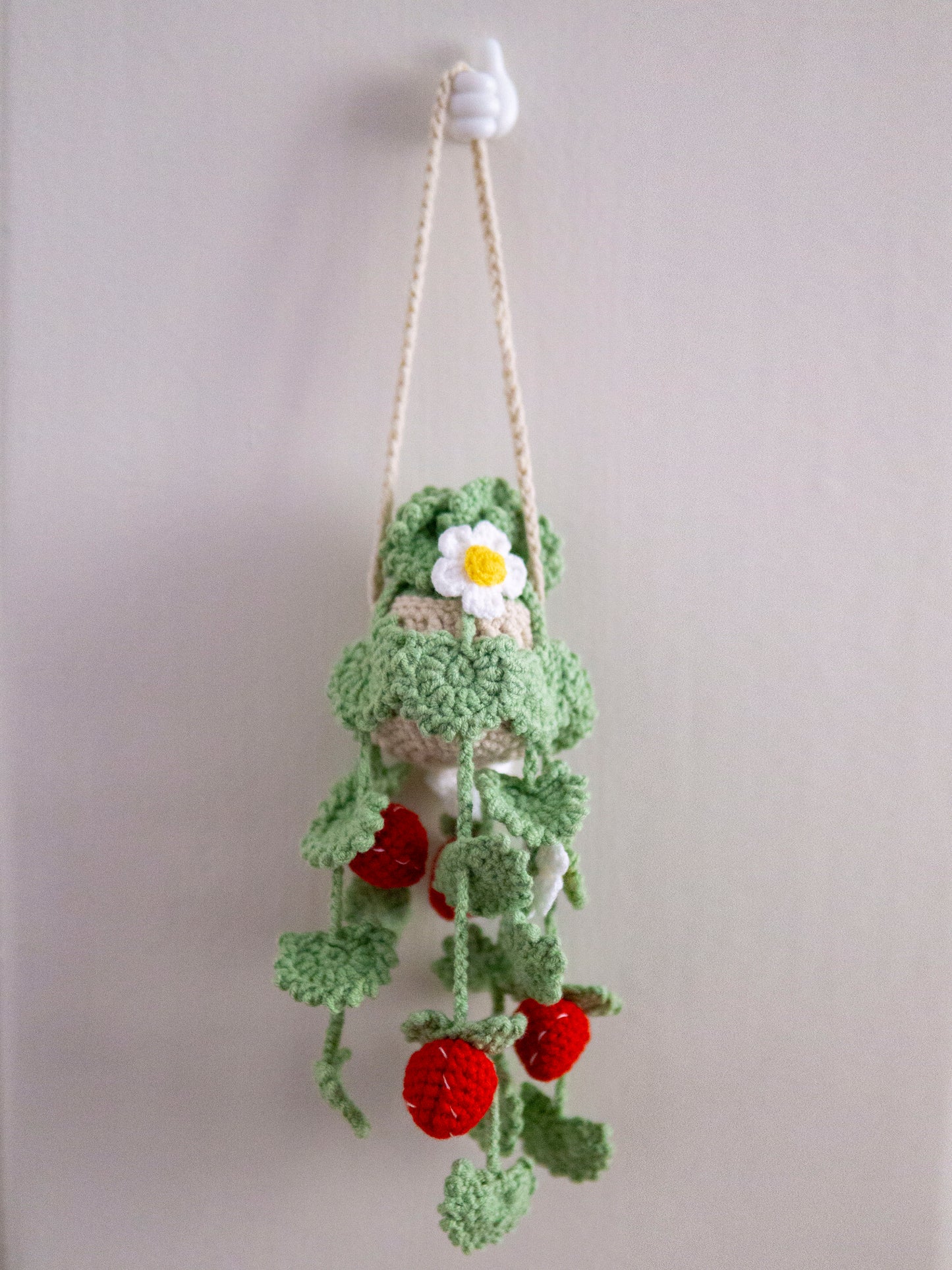 Strawberry Hanging Basket
