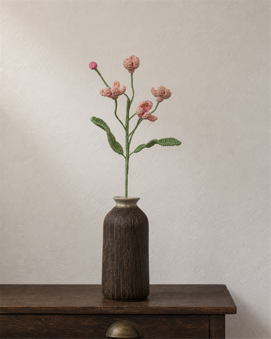 Waxflower Stem