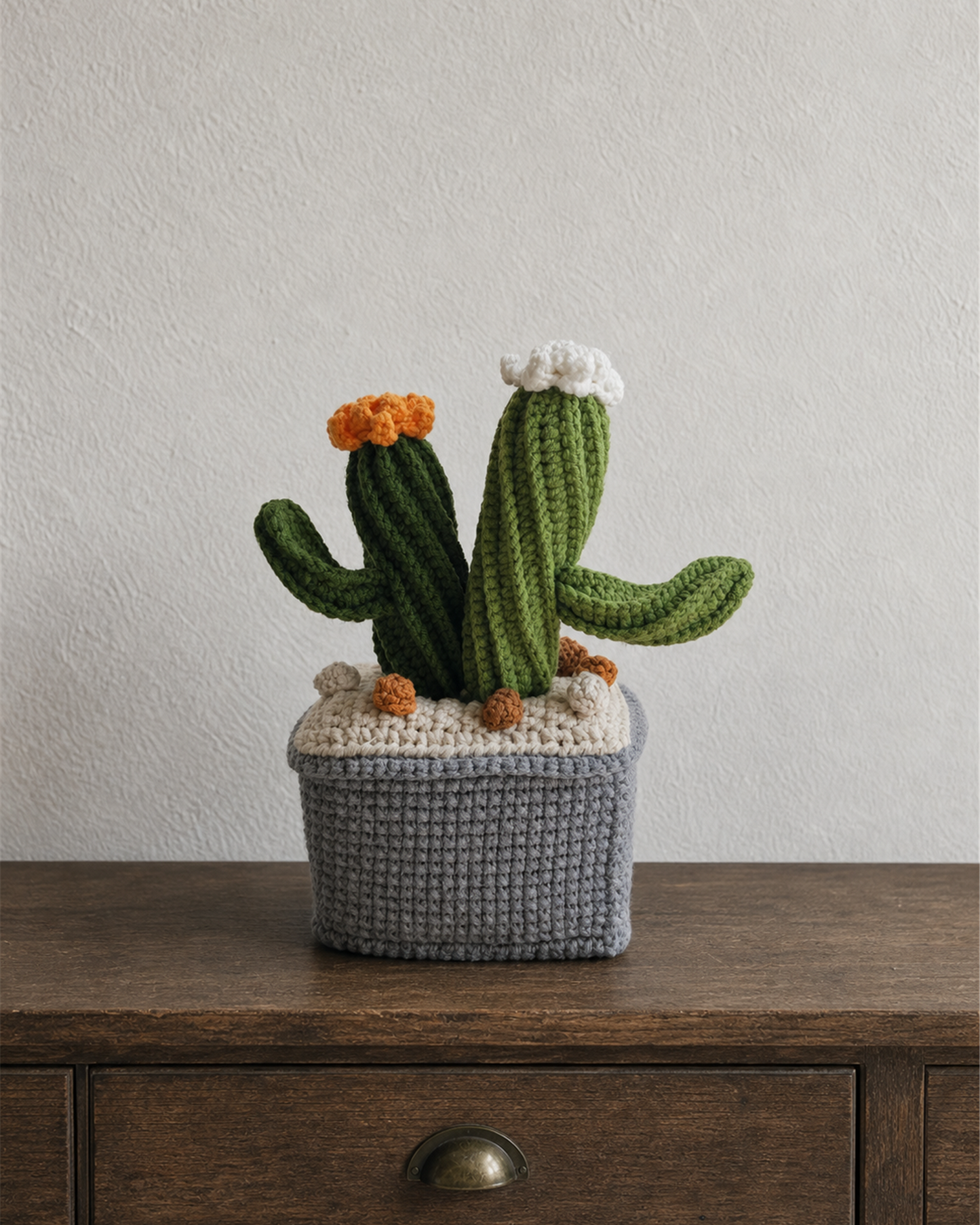 Cactus Duo M