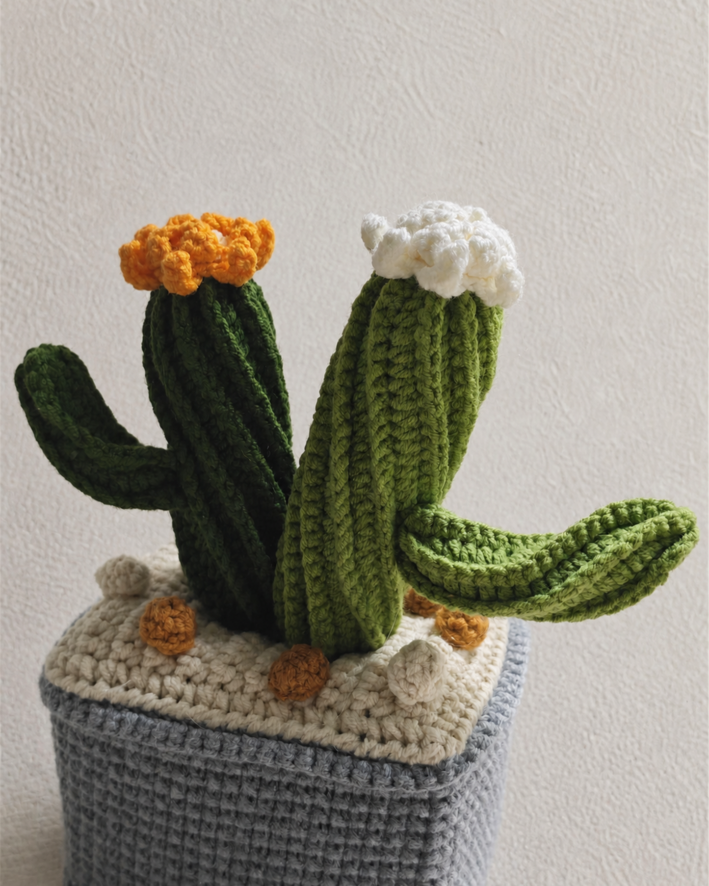 Cactus Duo M
