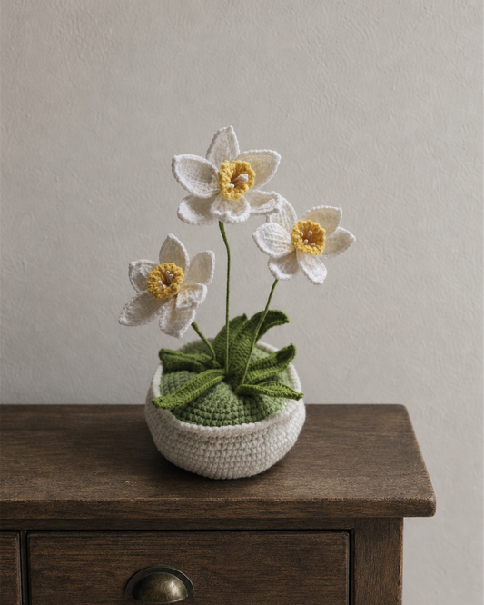 Narcissus L Pot
