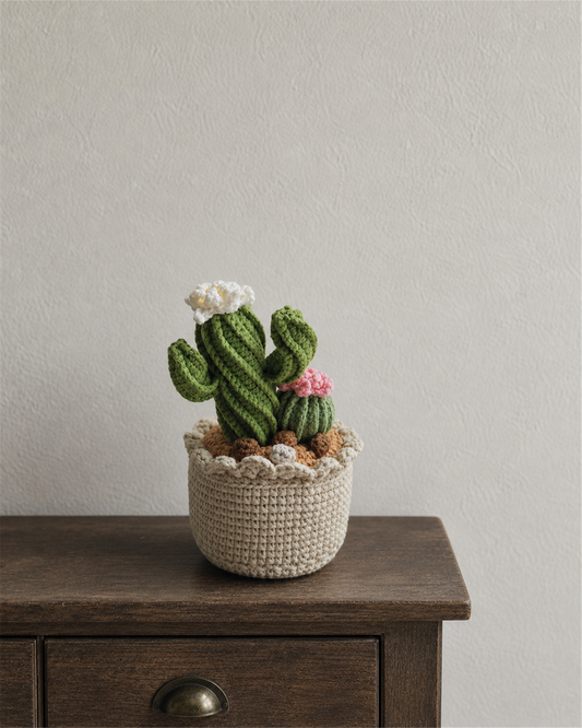 Cactus Duo Pink Flower – Round Pot