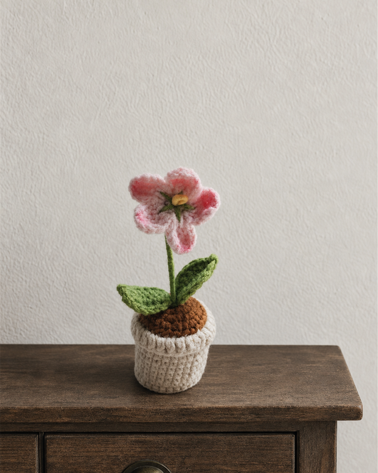 Mini Pink Blossom Pot