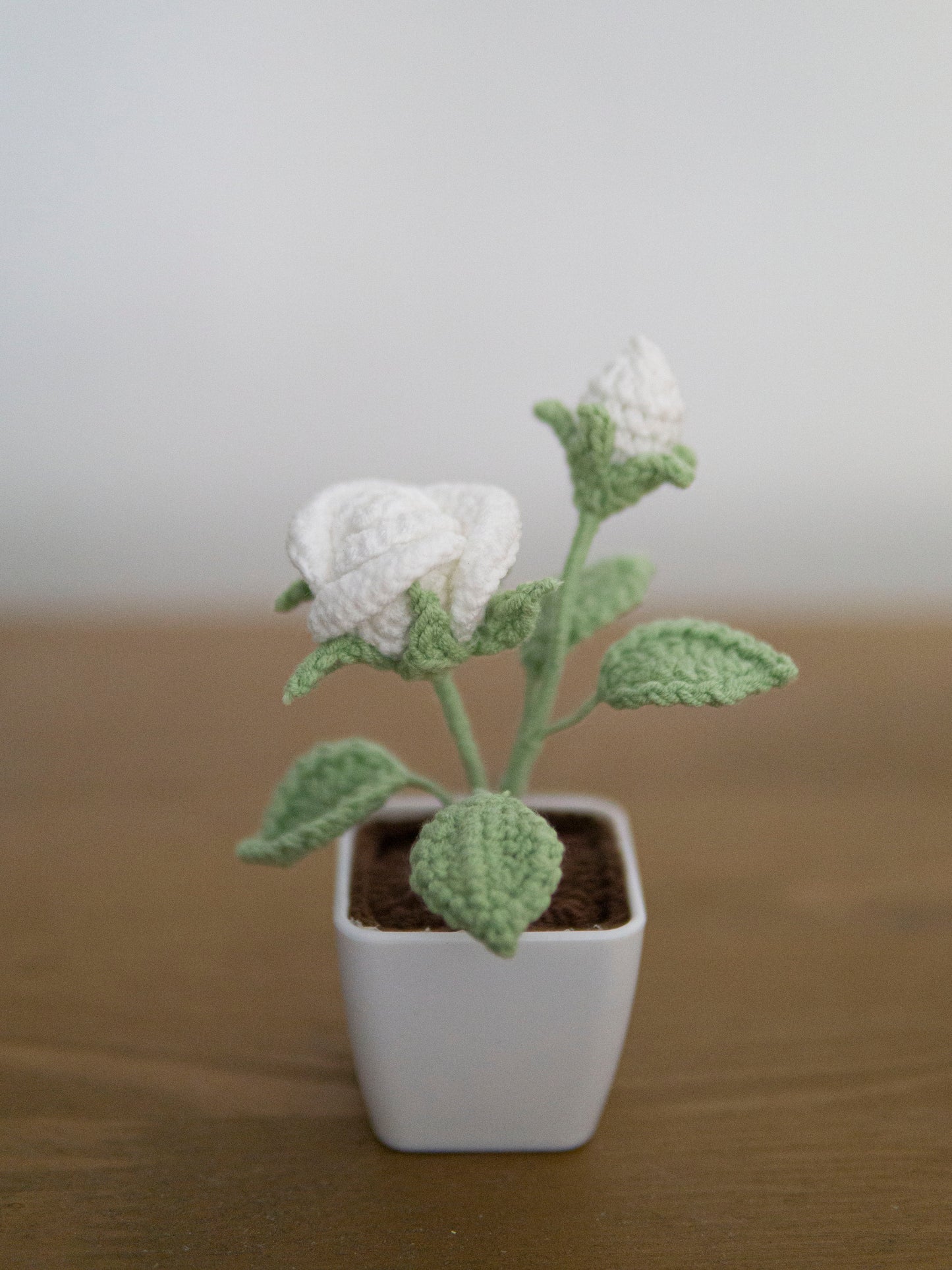 Little White Rose Bonsai