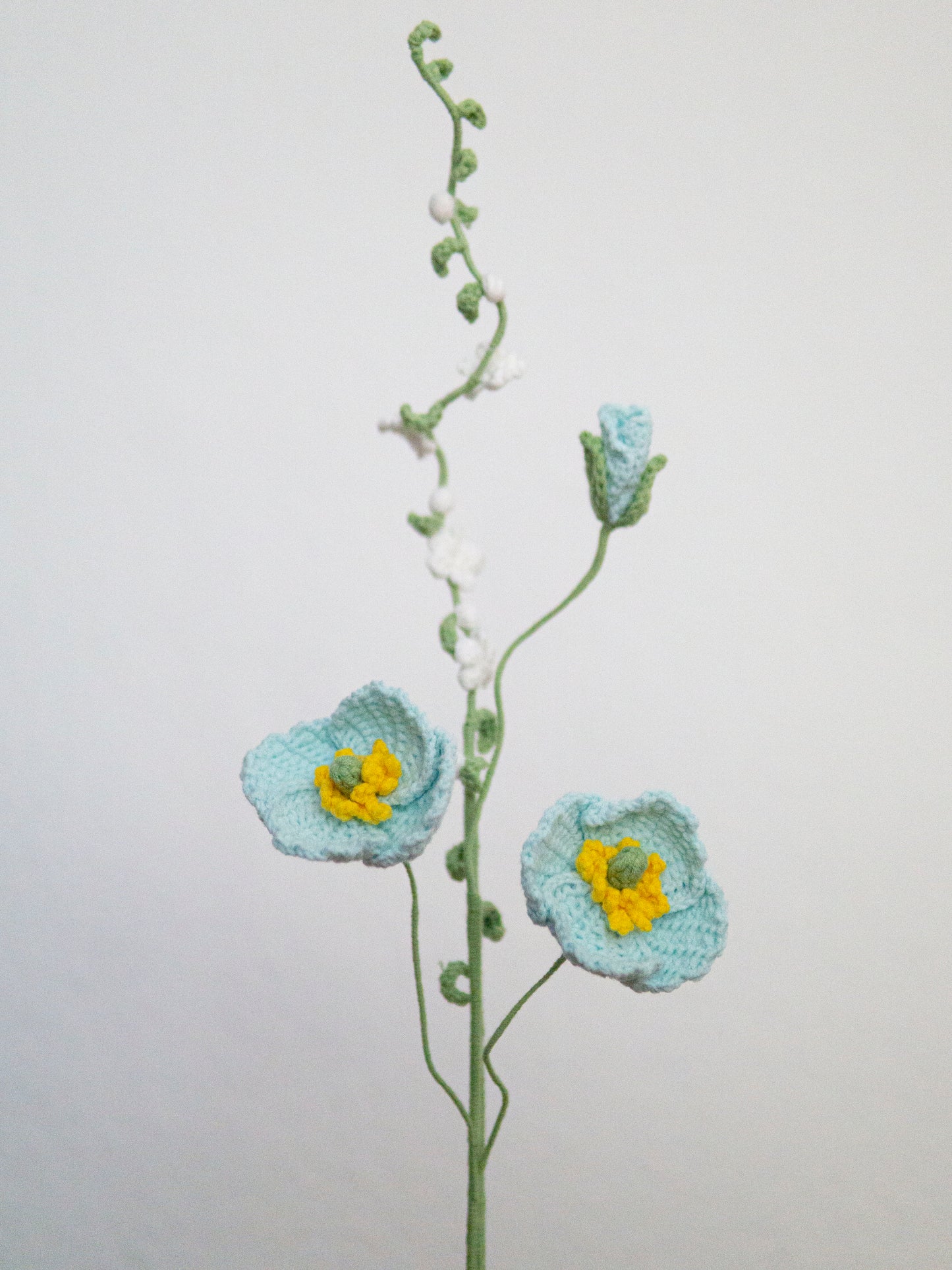 Poppy & Thunberg Spirea Set Babyblue