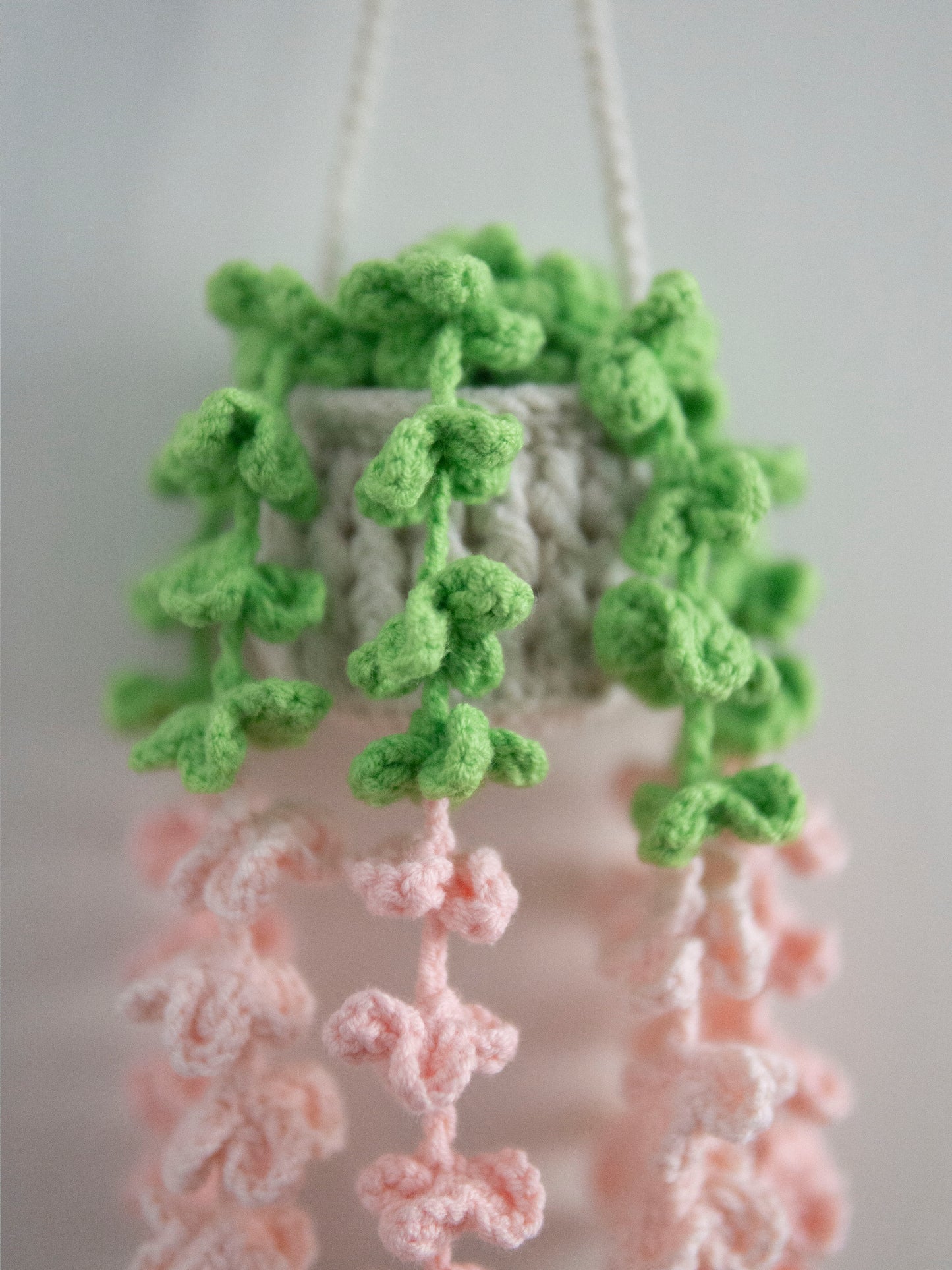 Baby Pink Lavender Hanging Basket