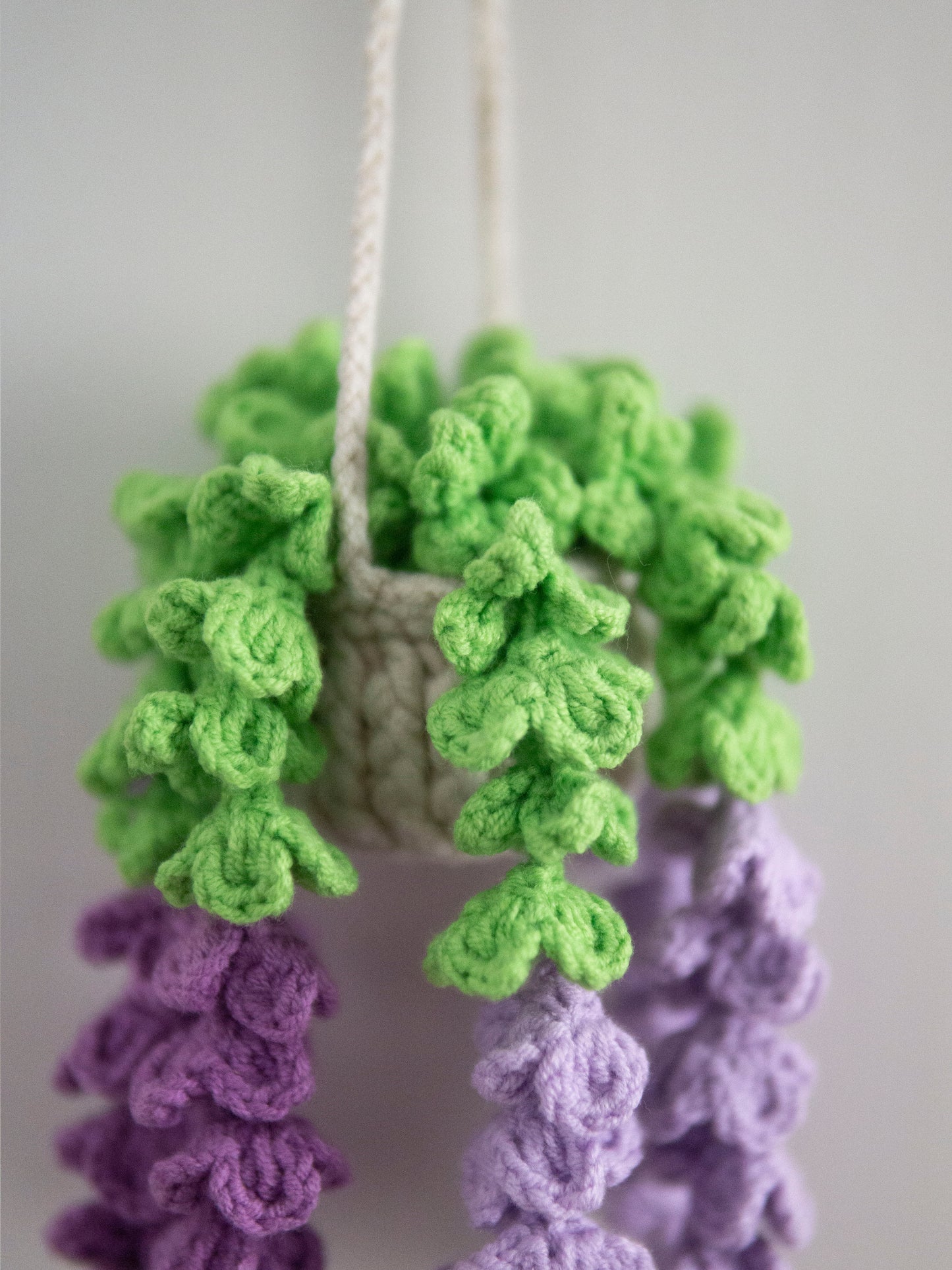 Purple Lavender Hanging Basket
