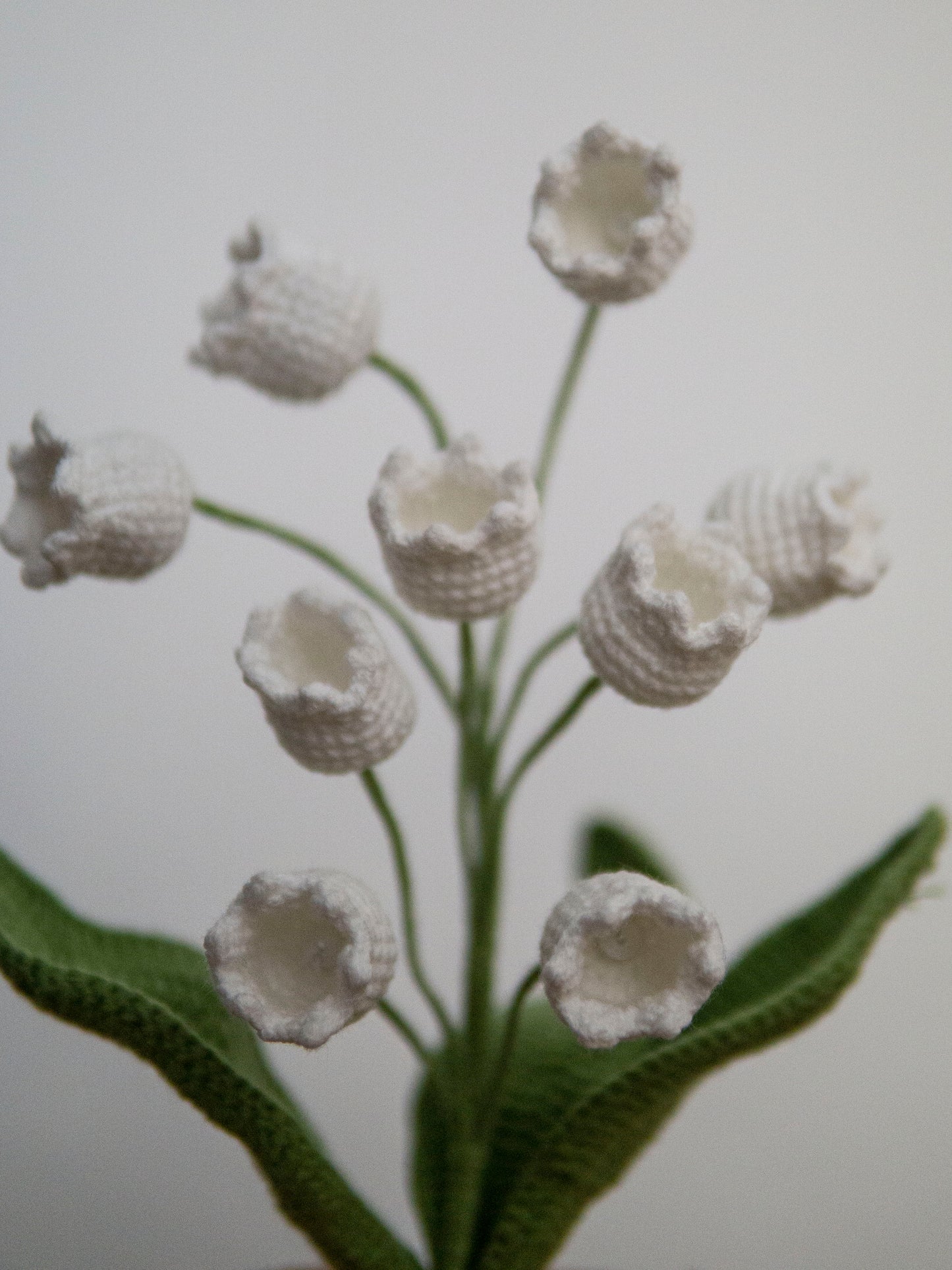 Lily of the Valley Bonsai