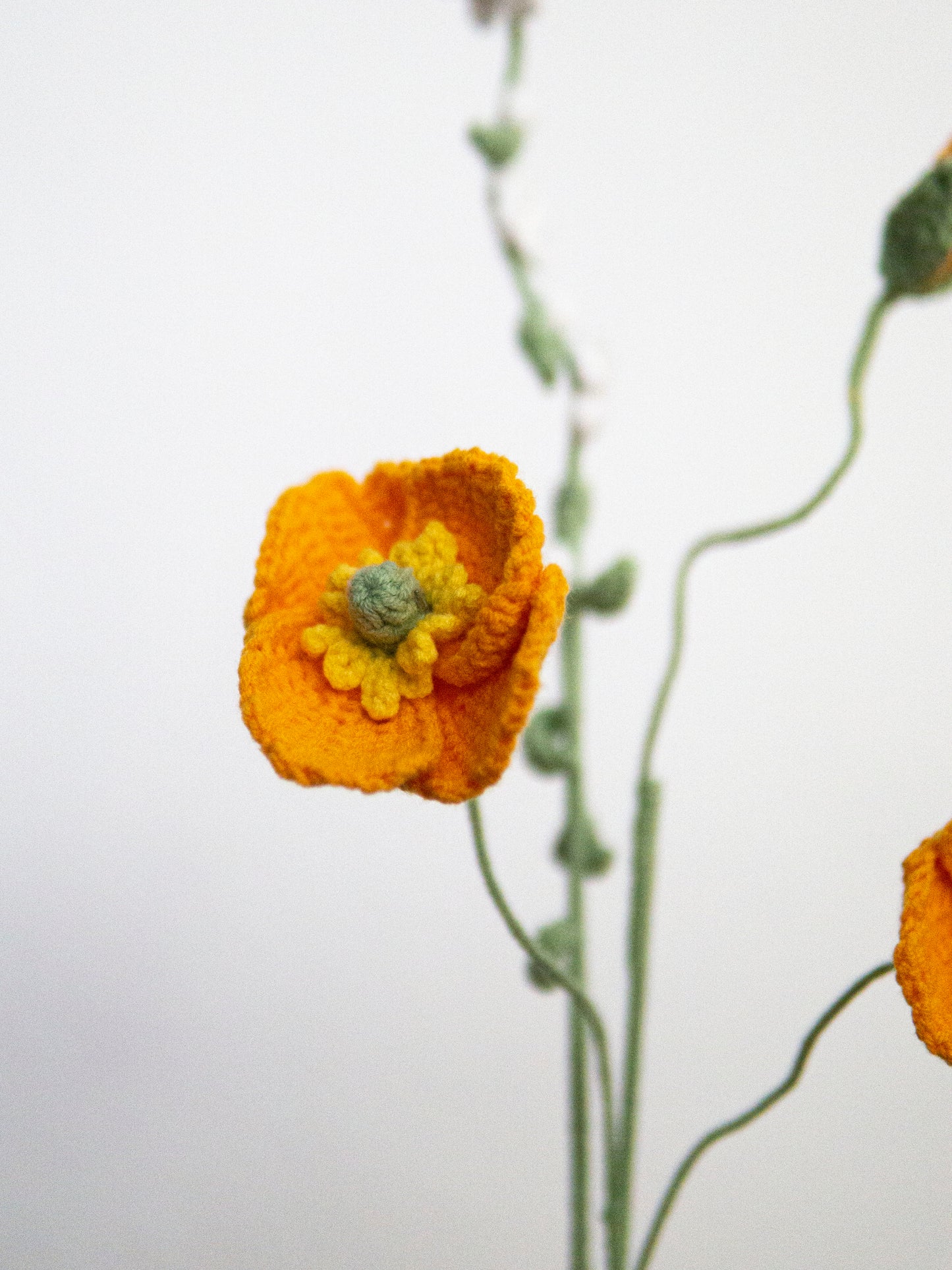 Poppy & Thunberg Spirea Set Apricot