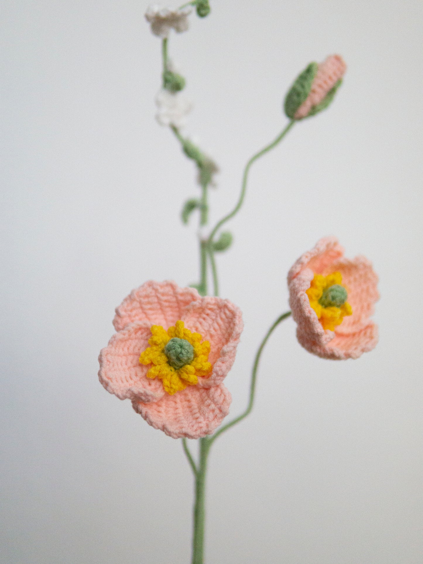 Poppy & Thunberg Spirea Set Pink