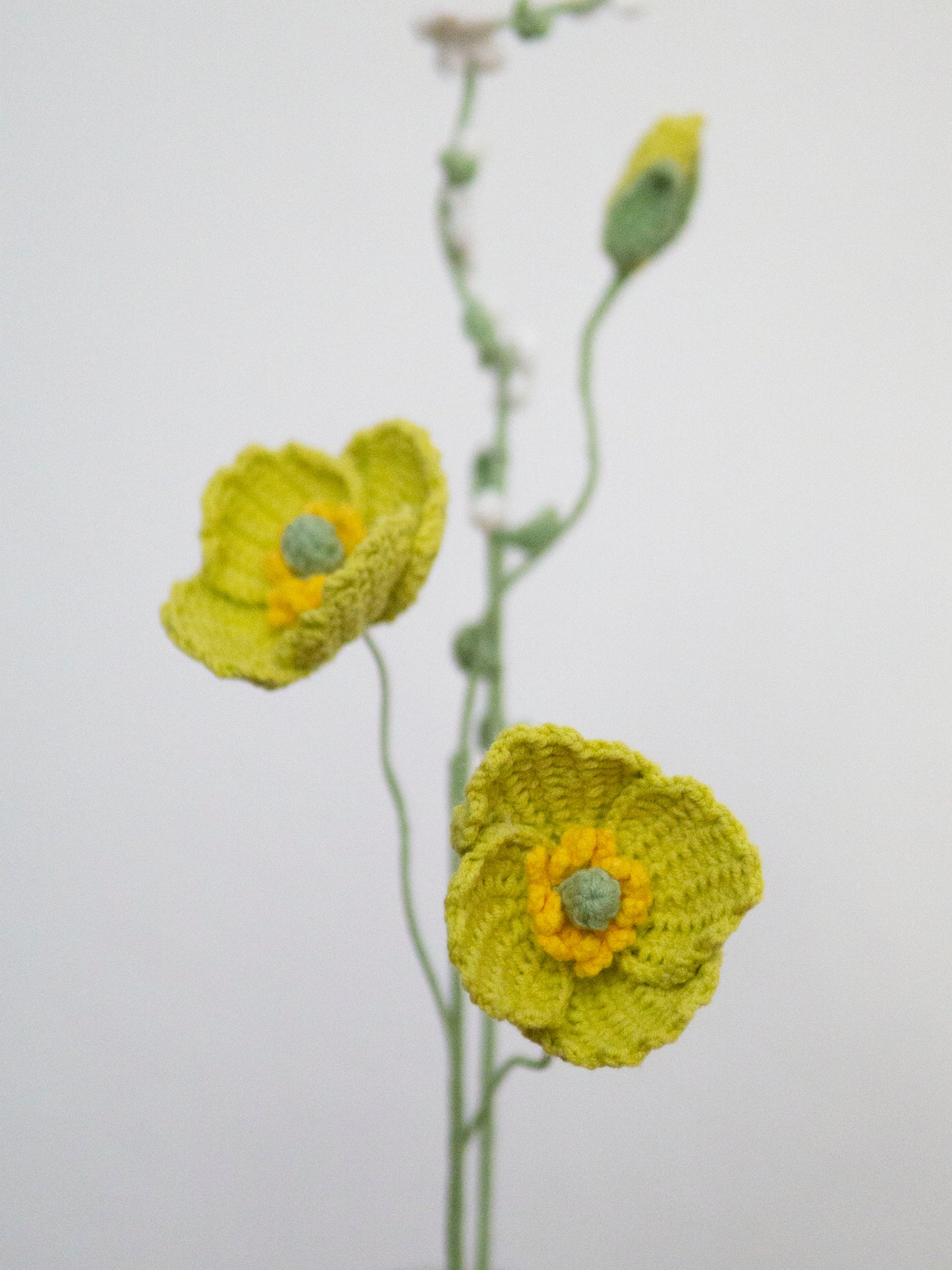 Poppy & Thunberg Spirea Set Honeydew