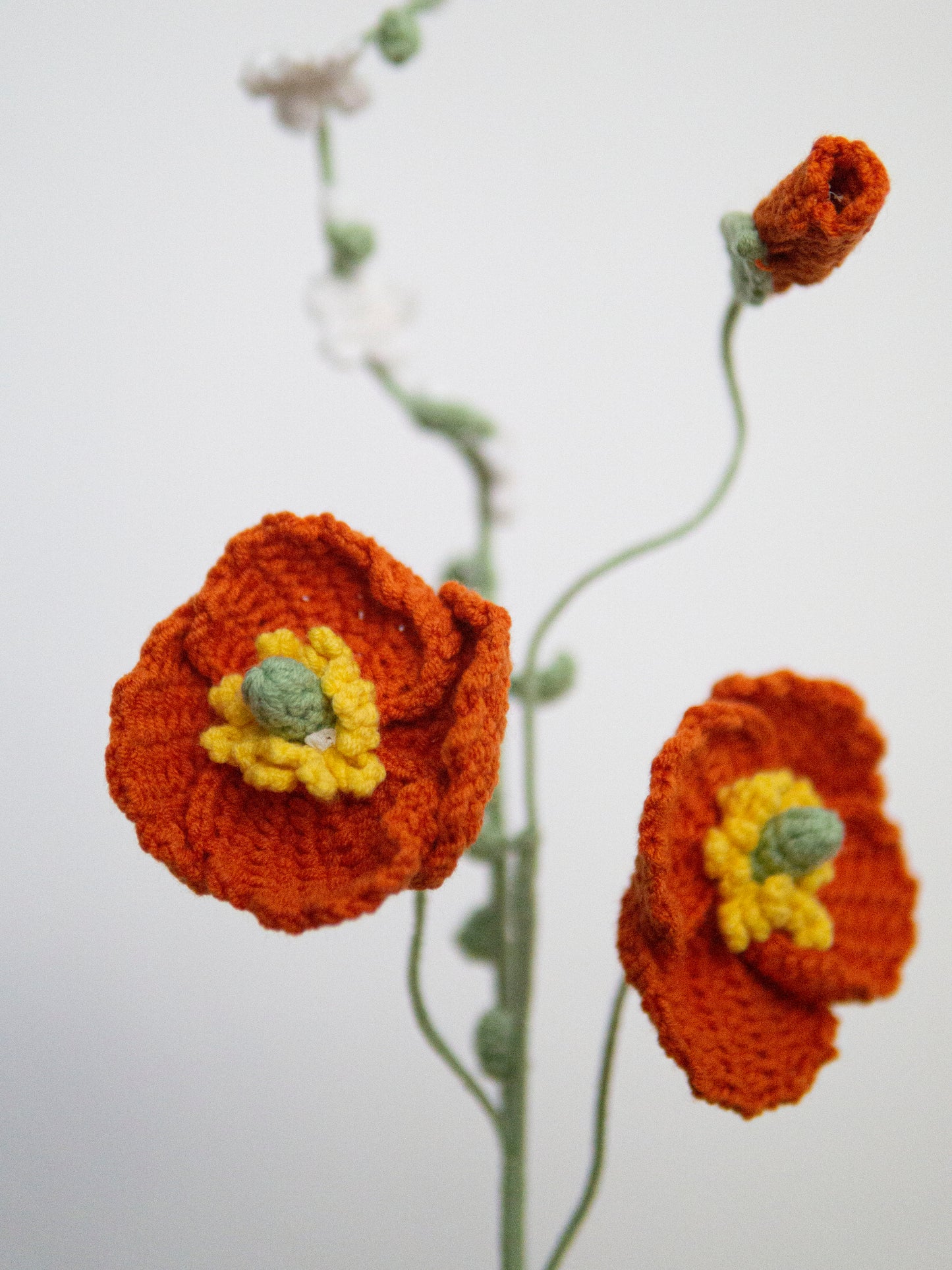 Poppy & Thunberg Spirea Set Cinnamon