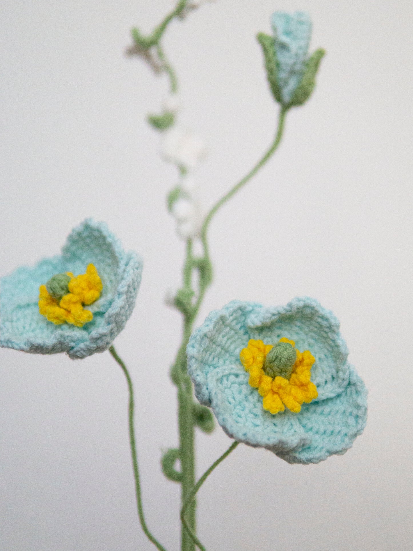 Poppy & Thunberg Spirea Set Babyblue