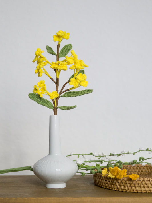 Osmanthus Yellow