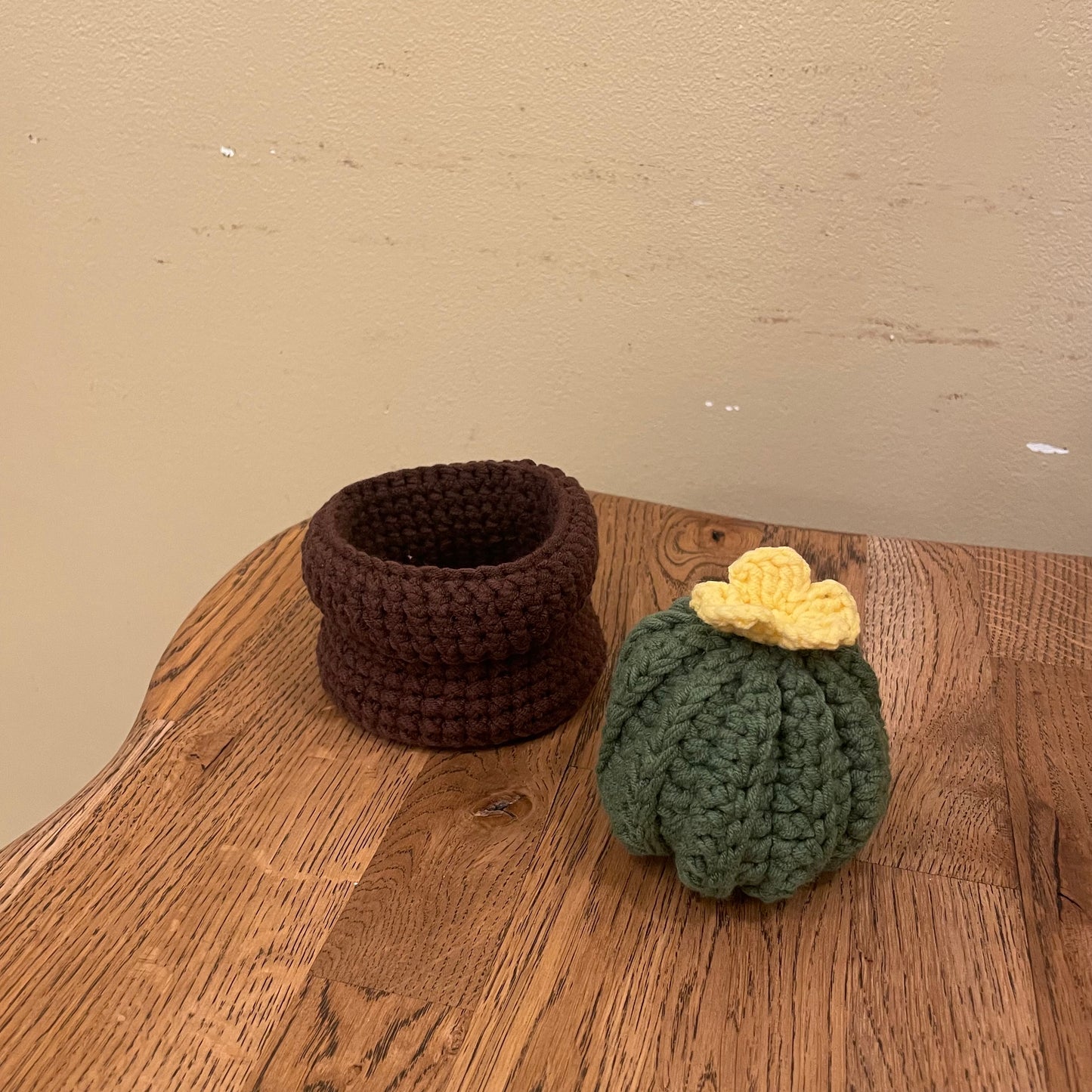 Cactus pot organiser