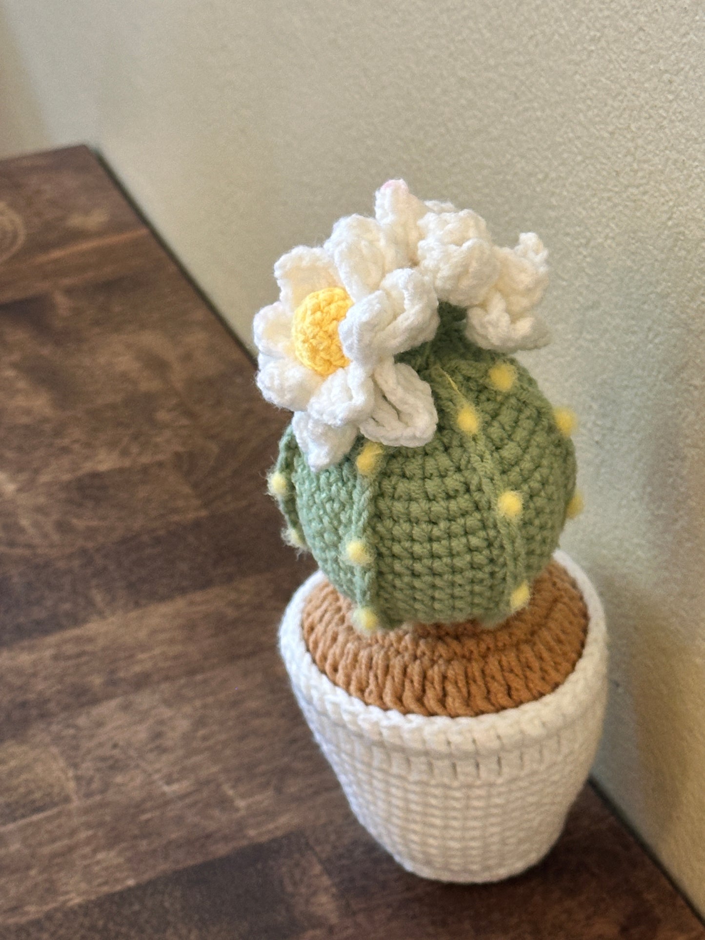 Cactus Round M-01