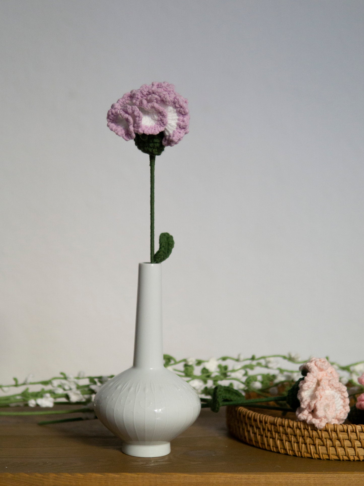 carnation violet