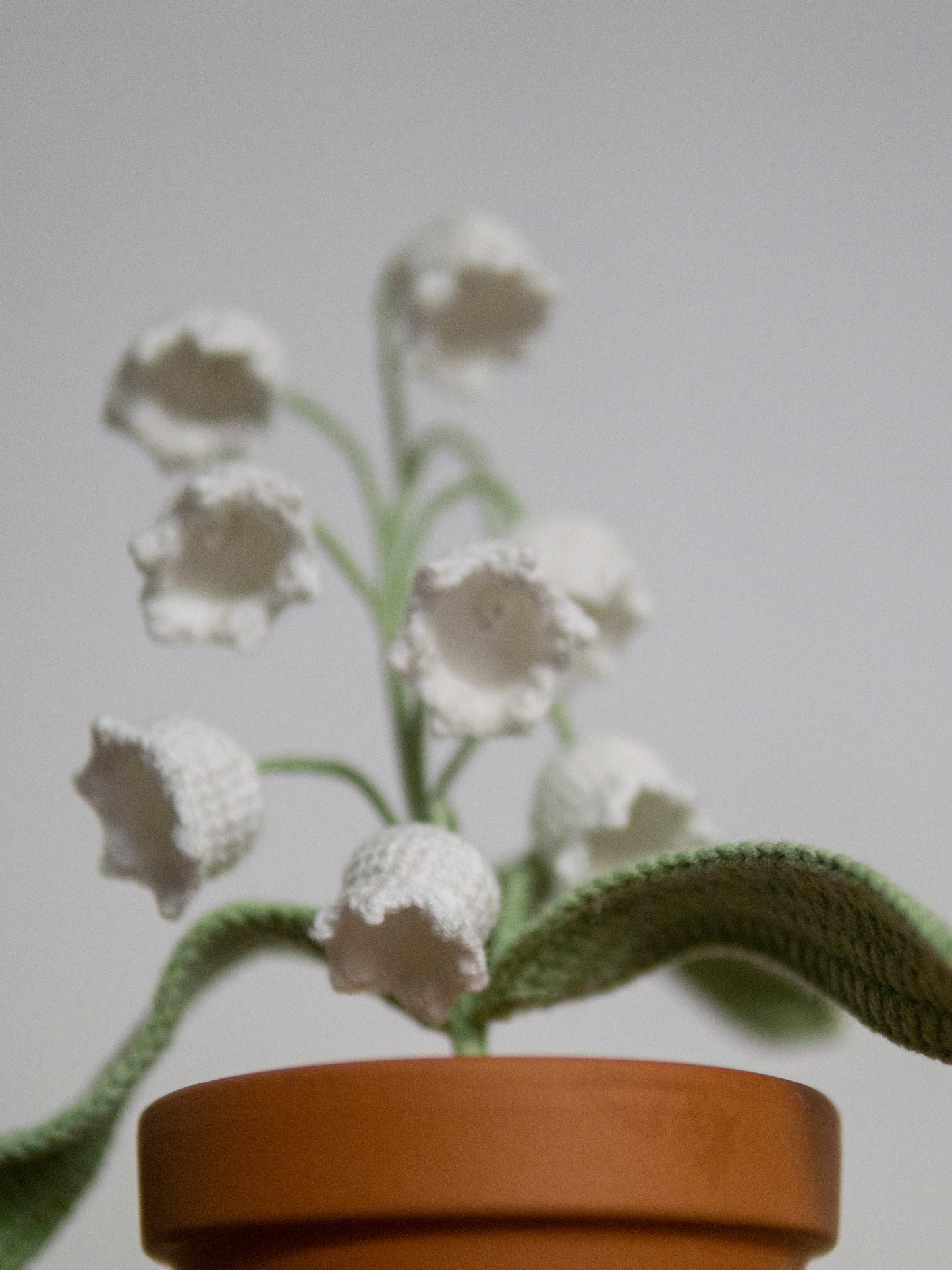 lily of the valley bonsai