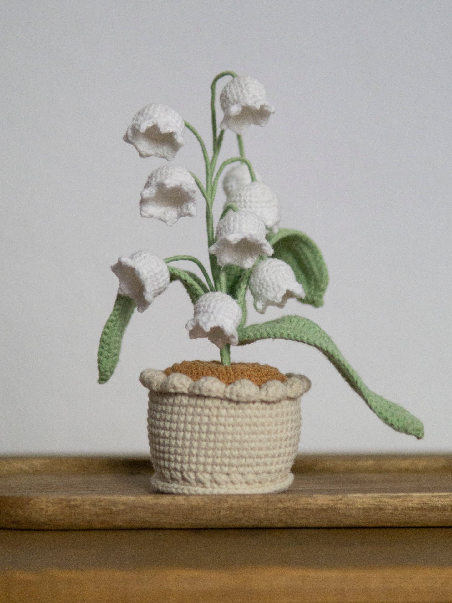 lily of the valley bonsai