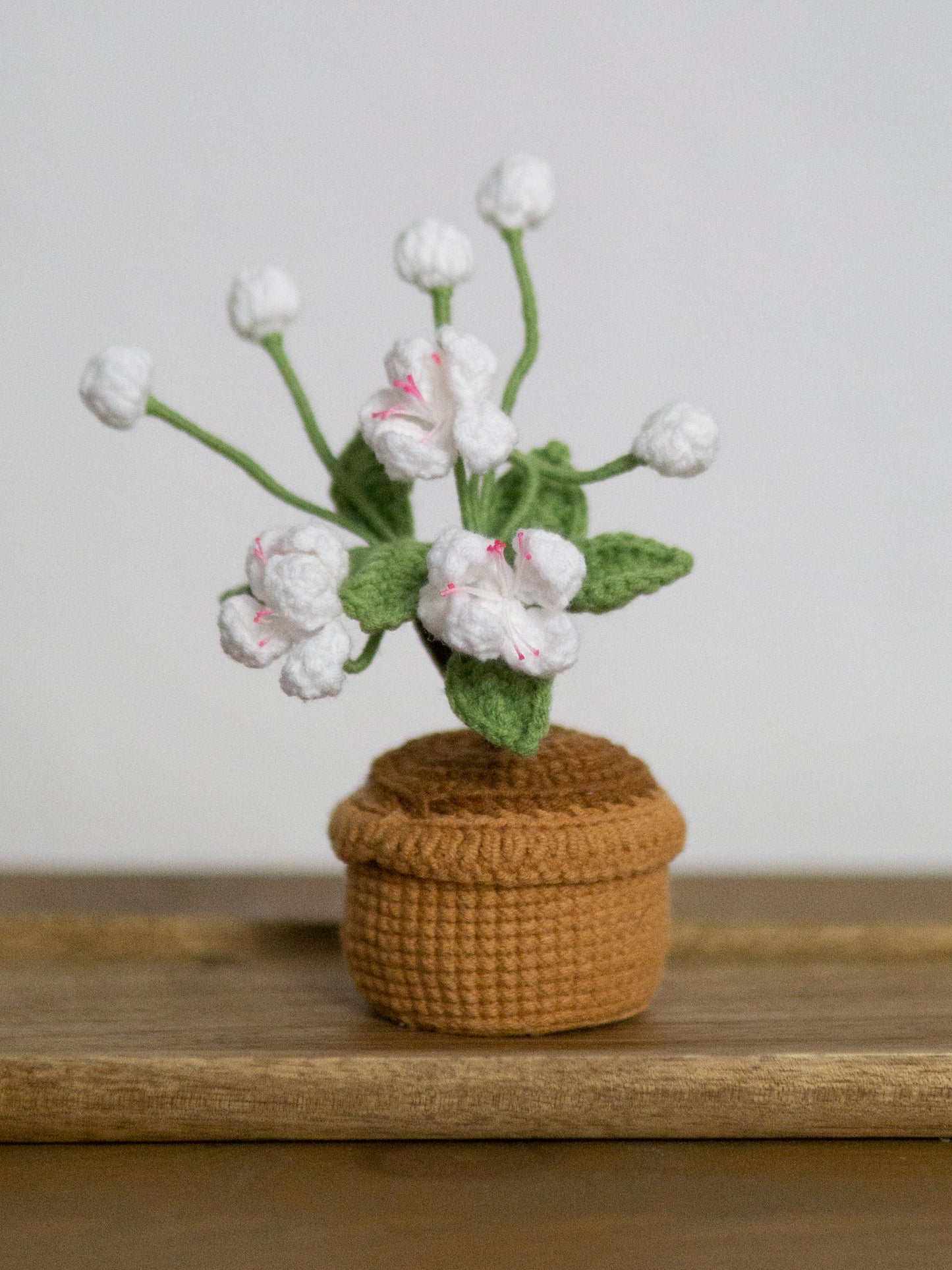 mini Sakura bonsai snow