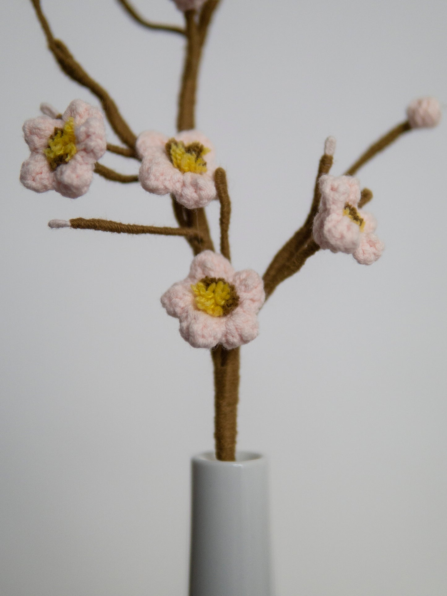 Plum blossom