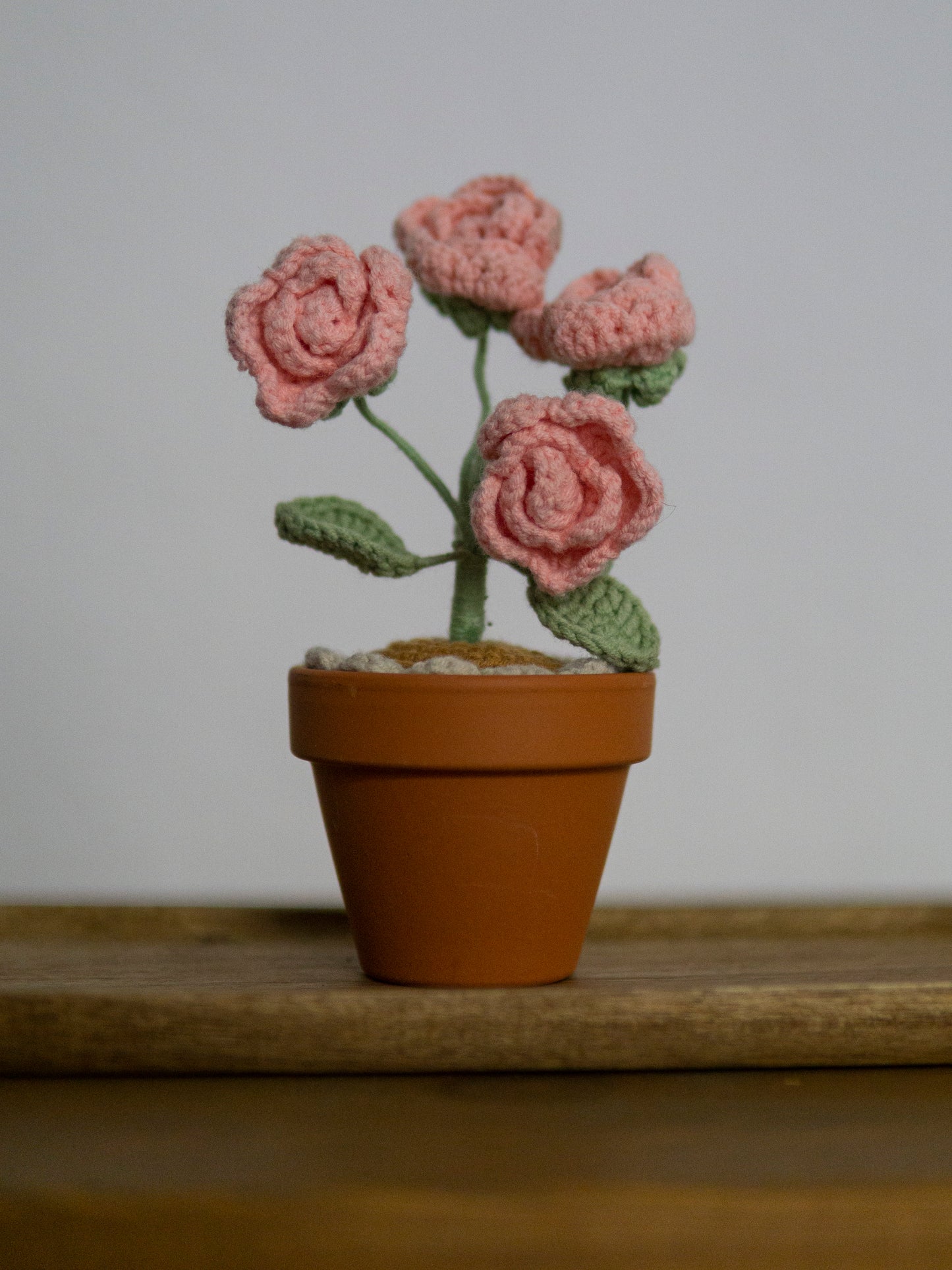 Rose bonsai pink