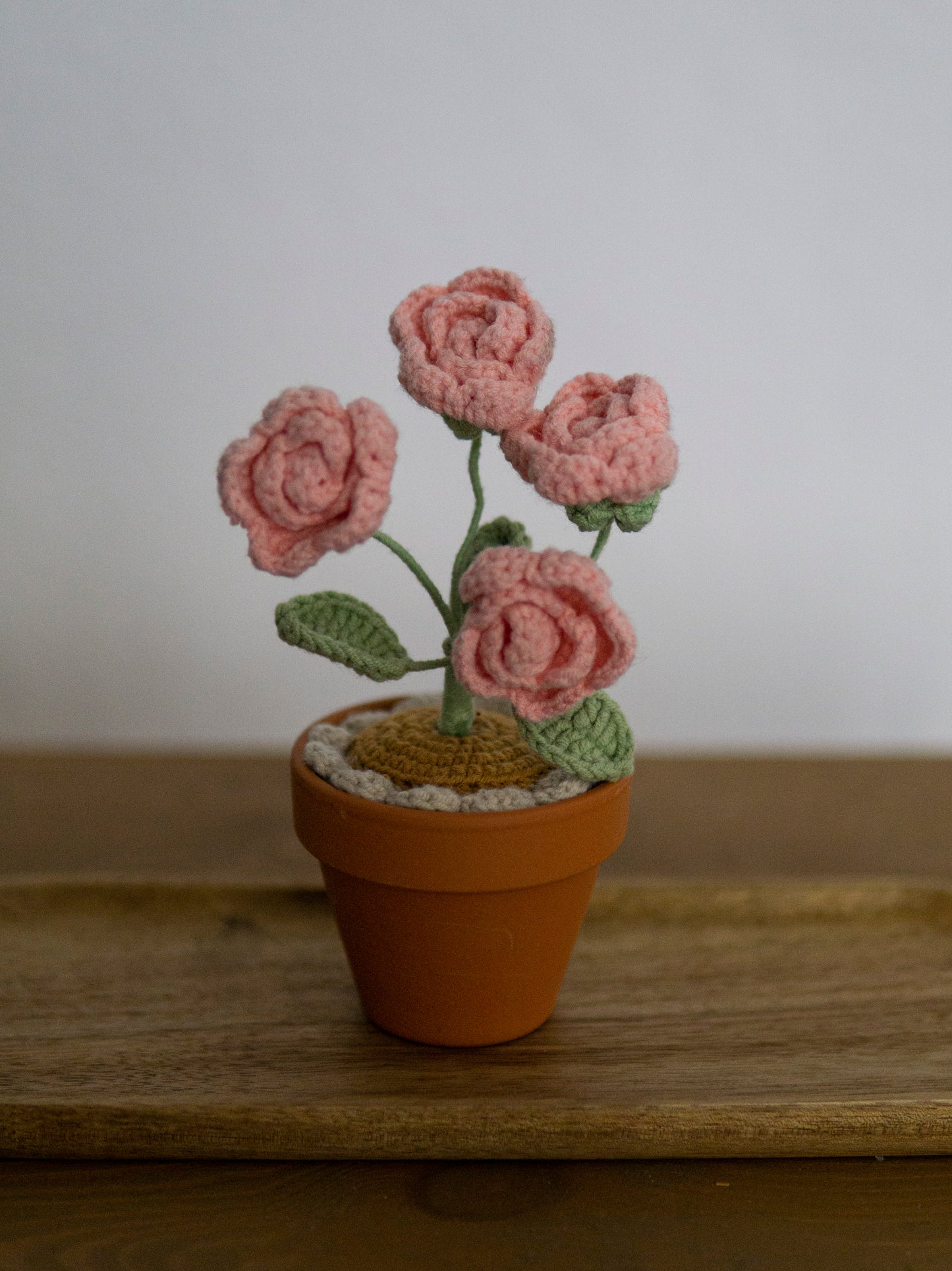 Rose bonsai pink