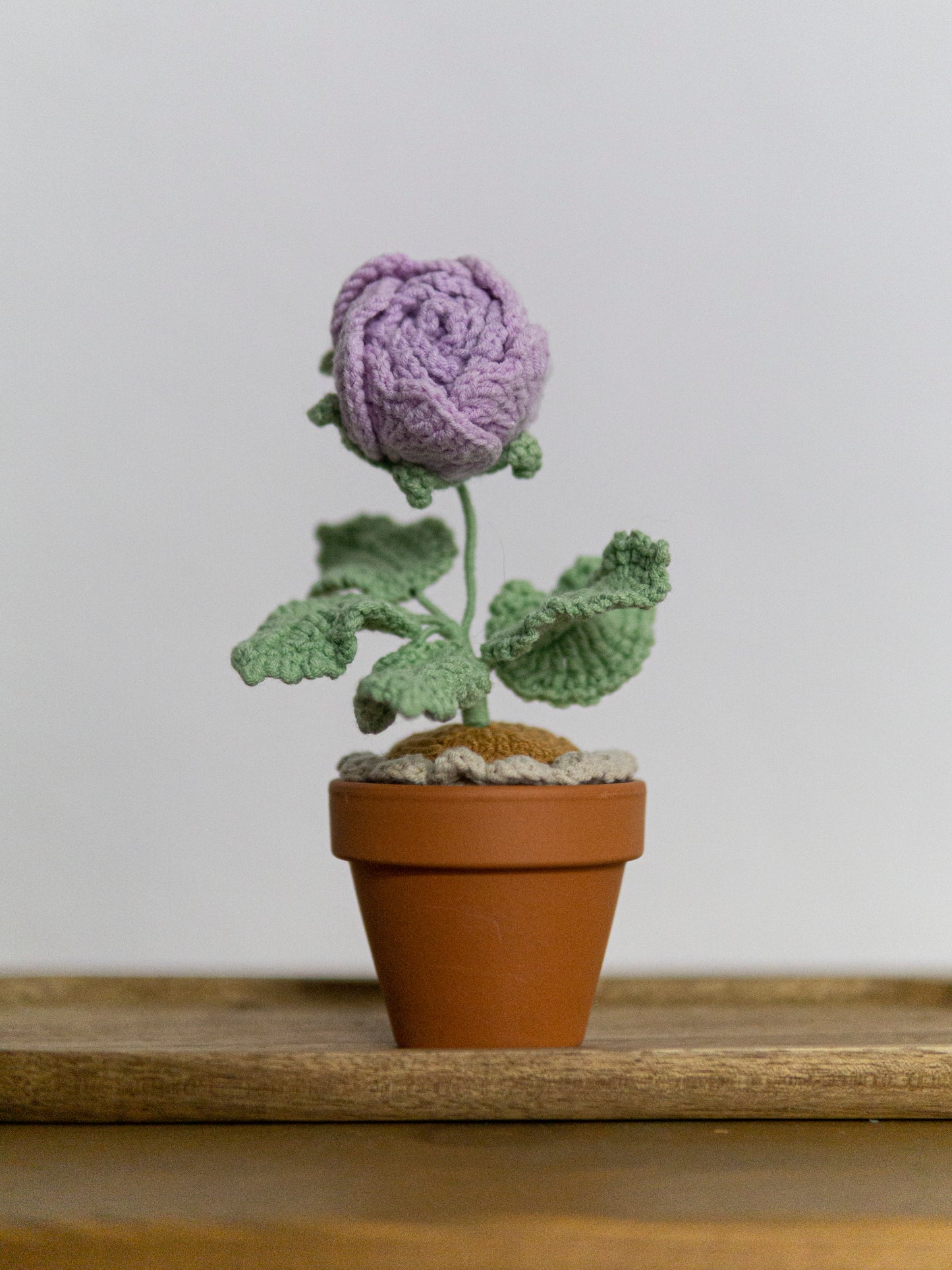 Rose bonsai purple