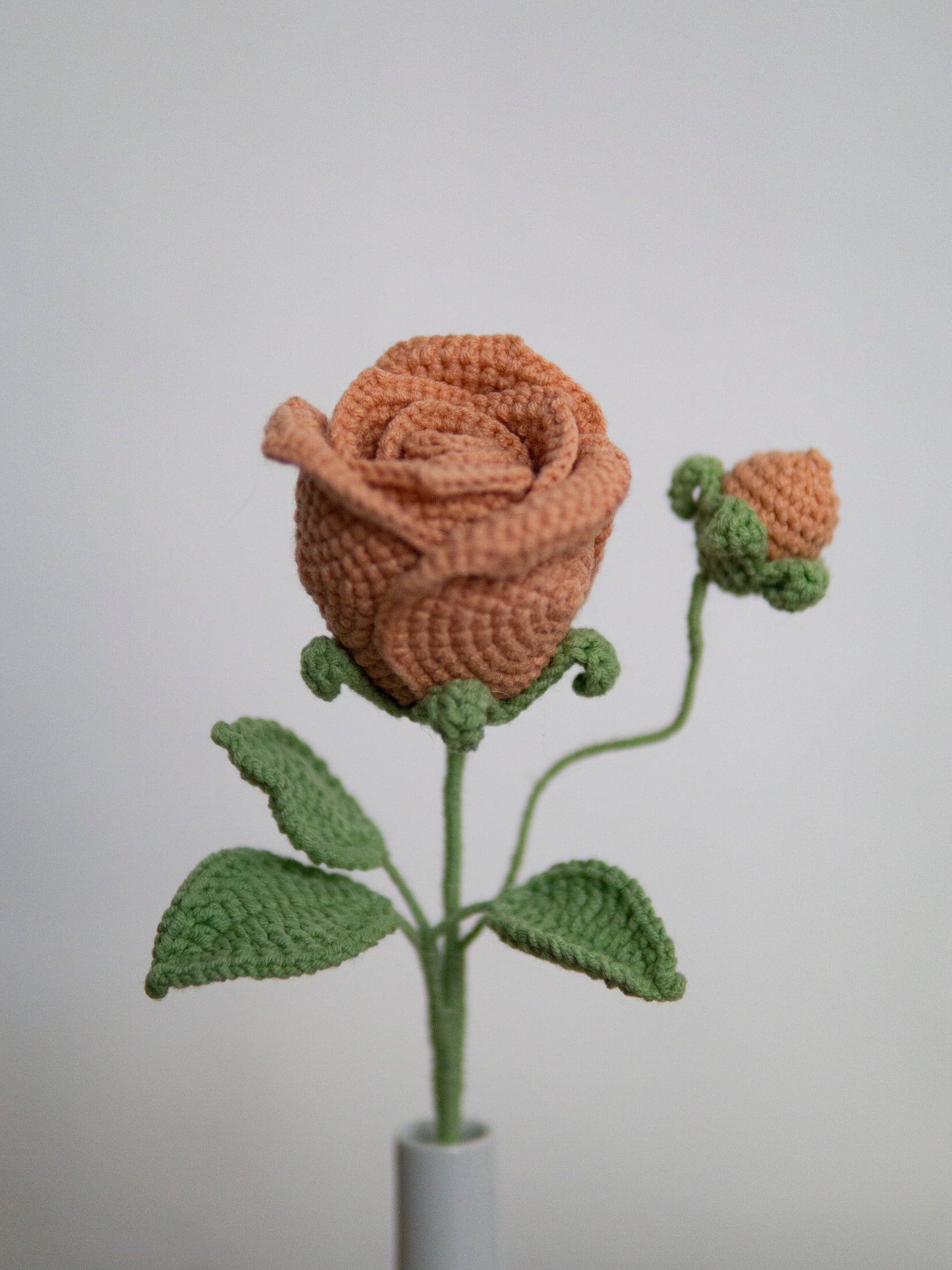 Rose terracotta