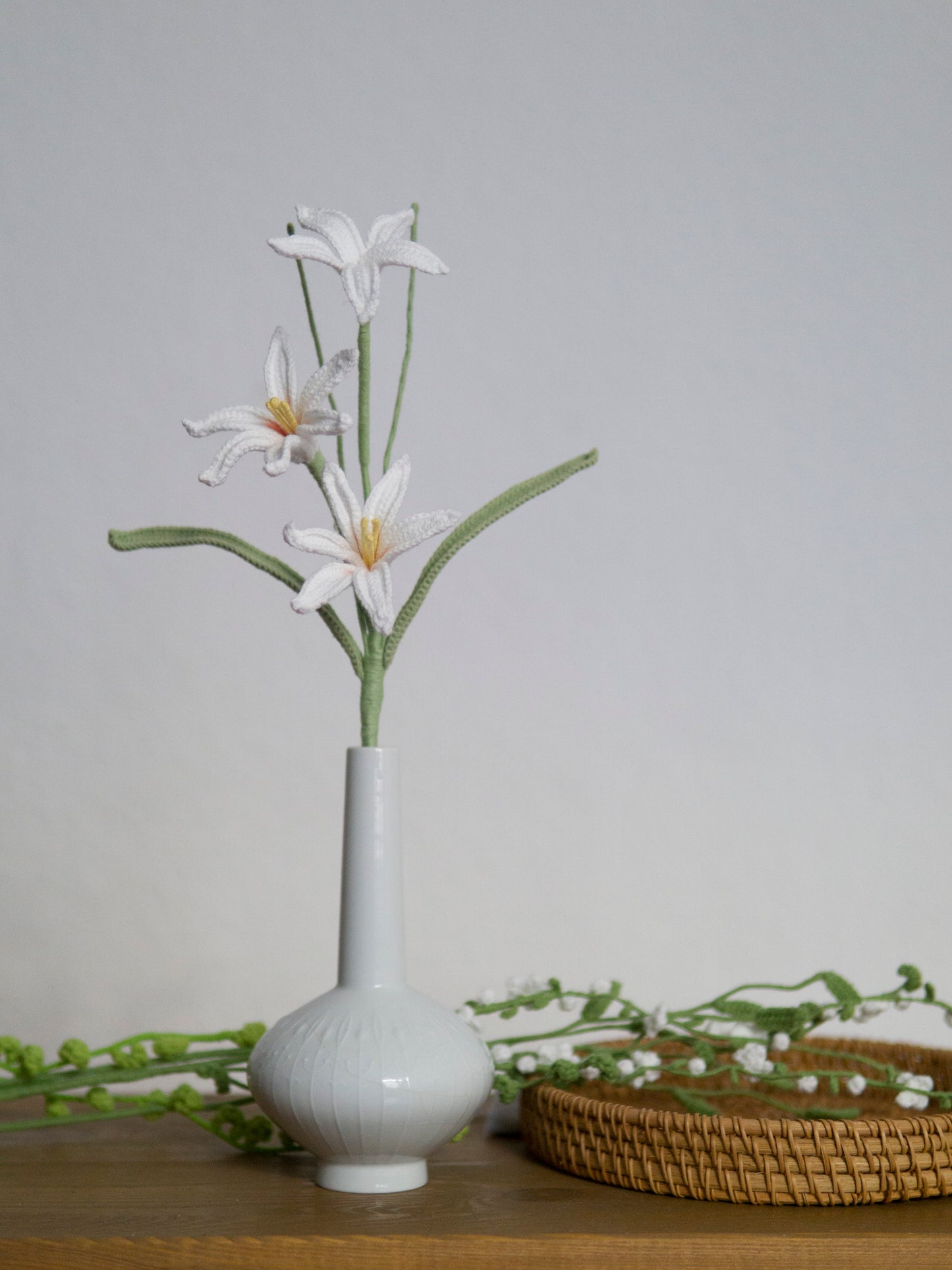 Zephyranthes candida