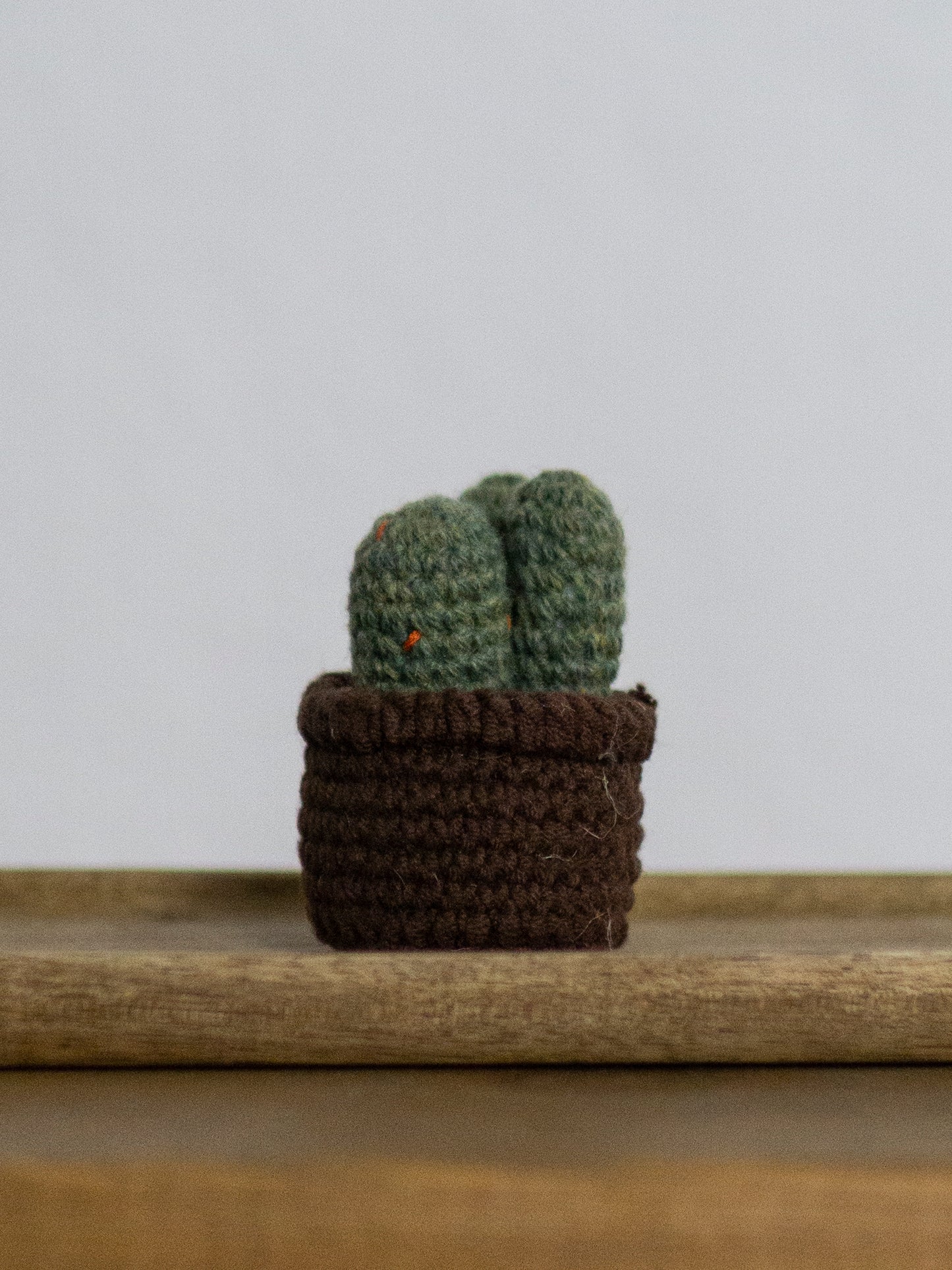 Cactus A