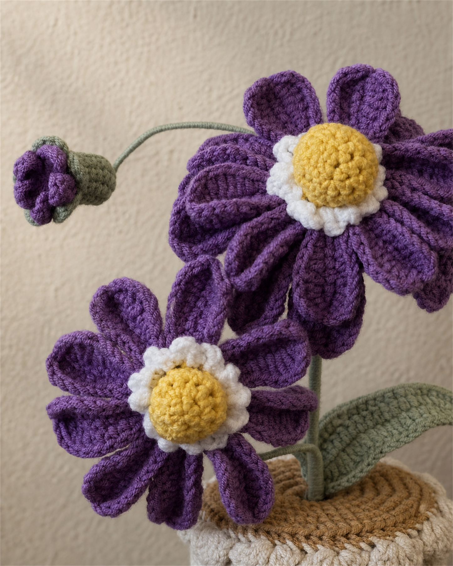 Crochet Daisy Pot