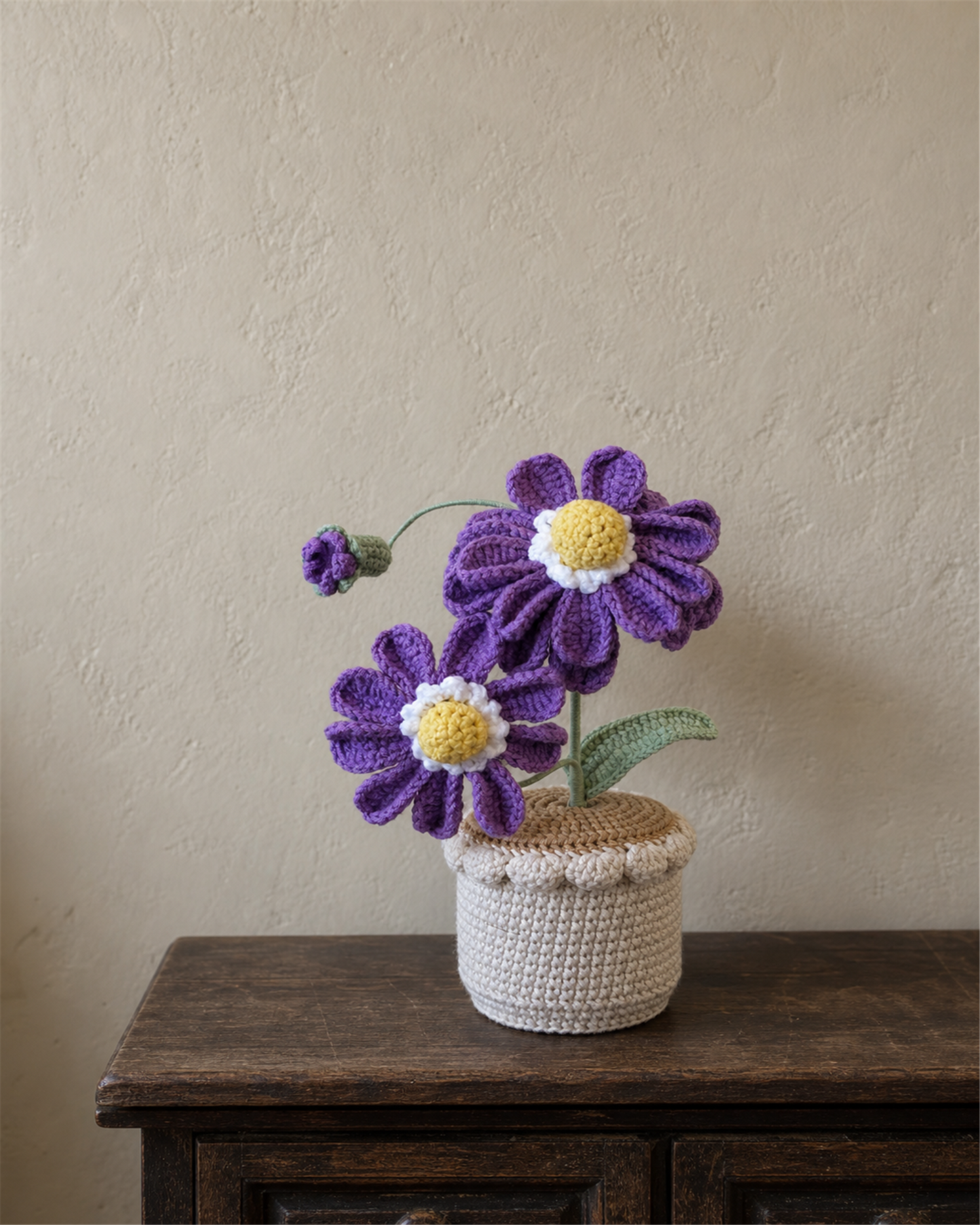 Crochet Daisy Pot