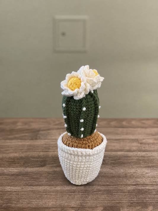 Cactus M-01