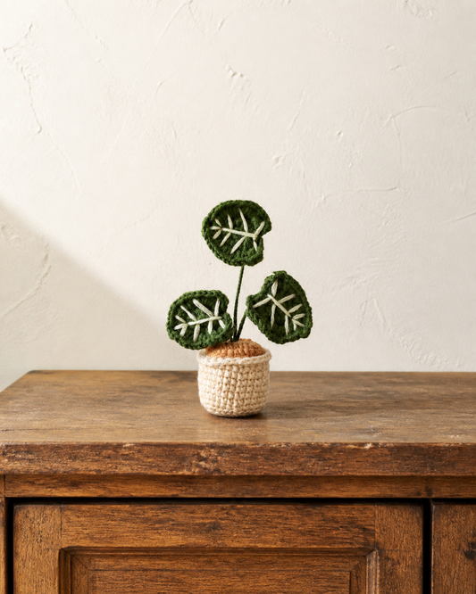 Alocasia Magnetic Mini Potted Plant