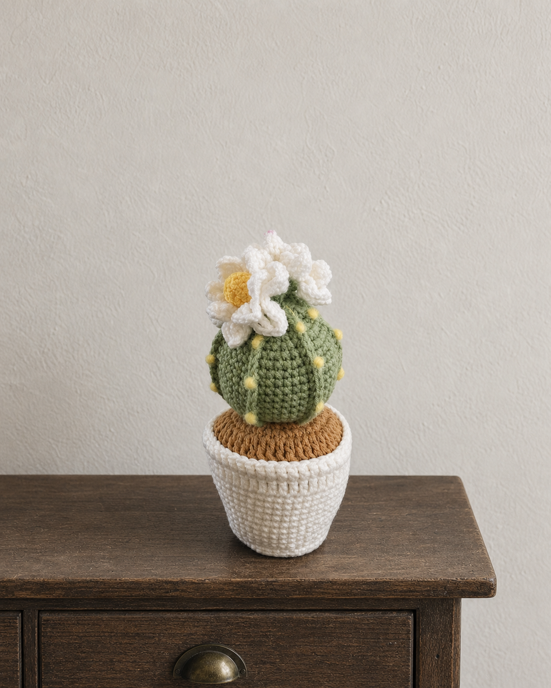 Cactus Round M-01
